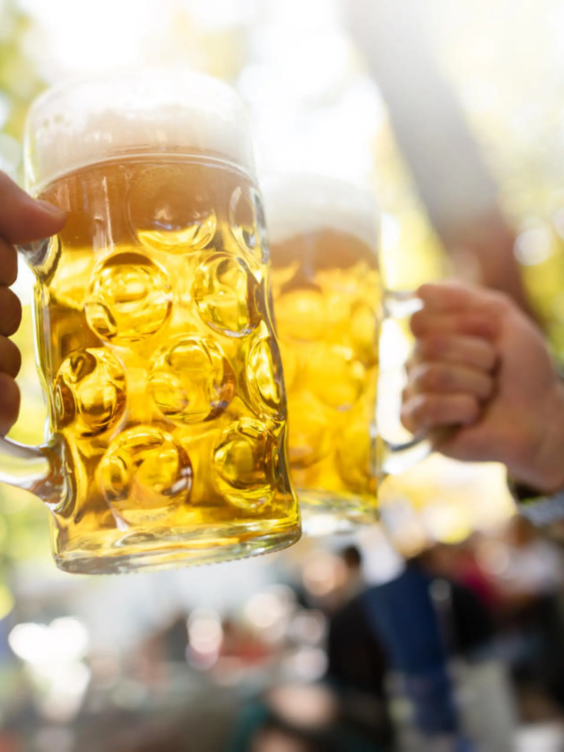 two young men drinking beer in a Munich beer garden