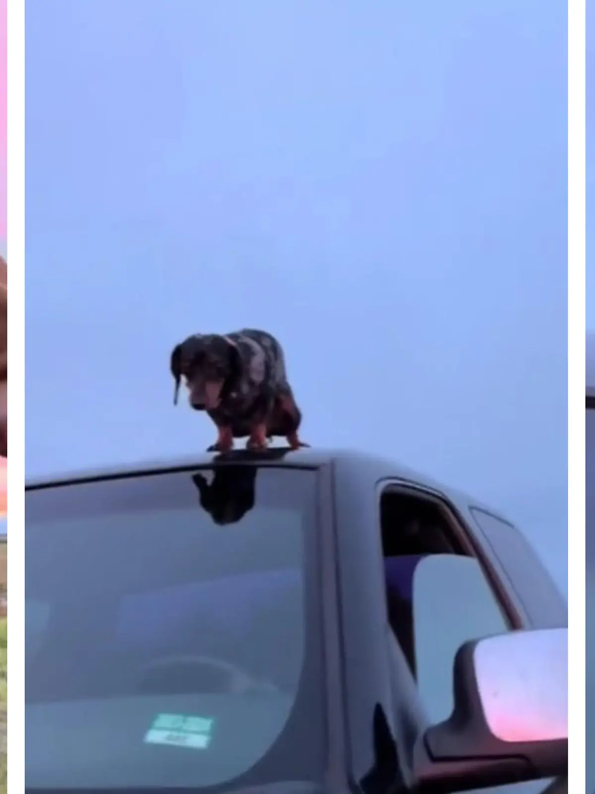 Der ist wirklich kackendreist!
Während Herrchen und Frauchen einfach nur in Ruhe den Sonnenuntergang genießen wollen, hat ihre tierische Begleitung ein ganz anderes - natürliches -Bedürfnis. Nur blöd, dass sich dieser Dackel für das große Geschäft ausgerechnet das Autodach ausgesucht hat. Wer hier am Ende stinkiger war, verraten wir euch im Video.