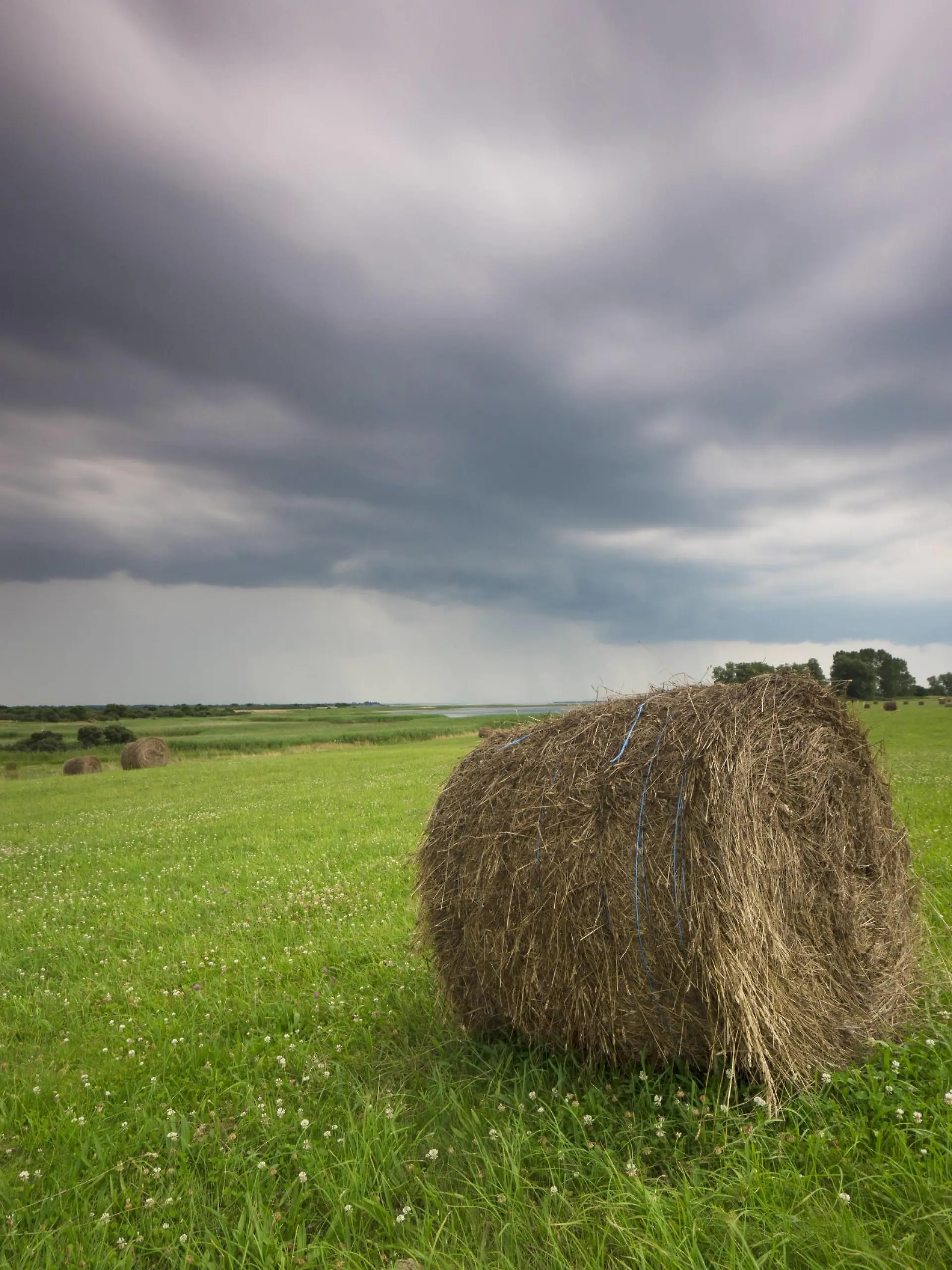 Heuballen auf dem Feld bei aufziehendem Gewitter, Deutschland, Mecklenburg-Vorpommern, Hiddensee | hayballs in a meadow at approaching thunderstorm, Germany, Mecklenburg-Western Pomerania, Hiddensee