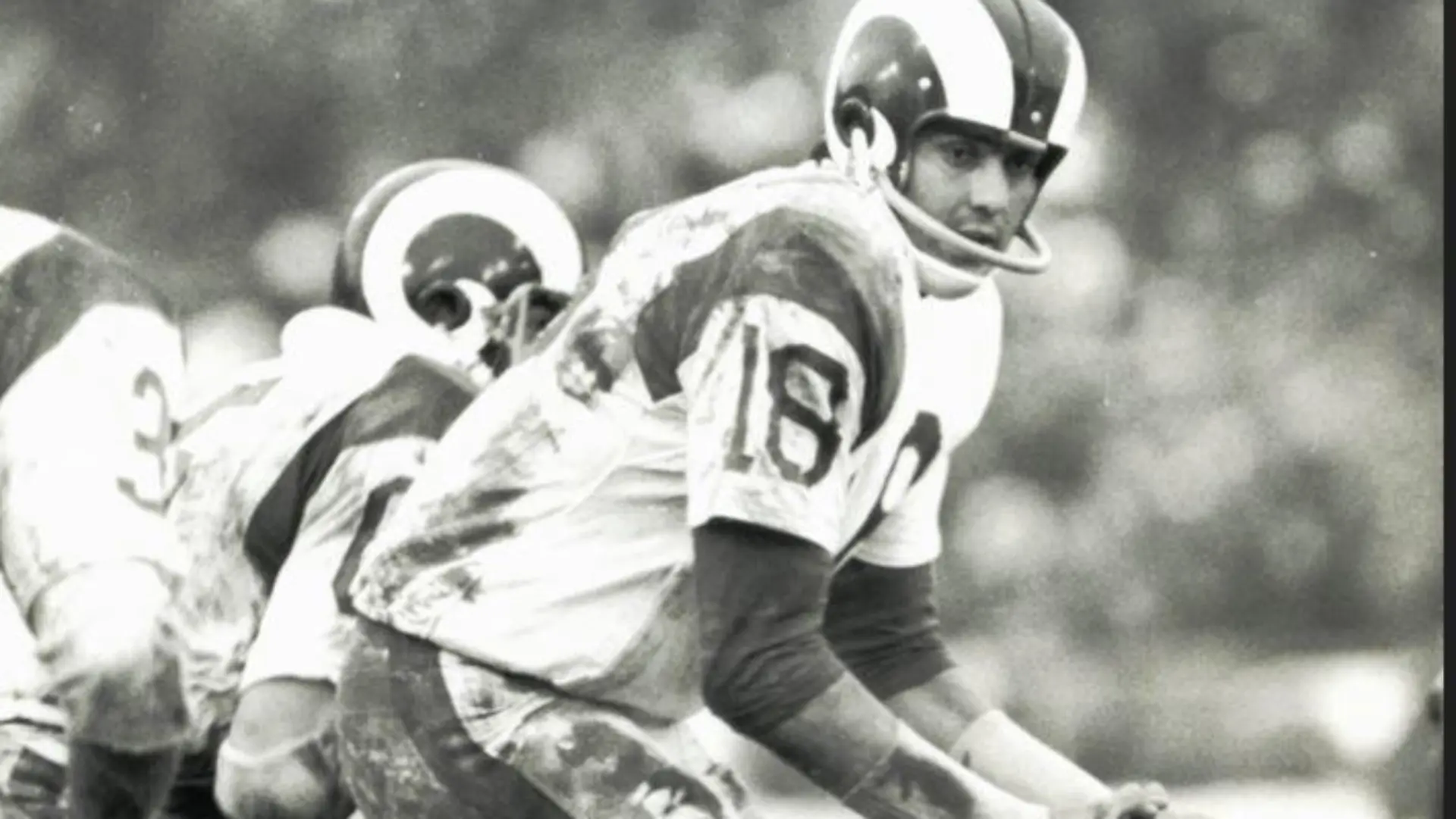 Roman Gabriel in Aktion