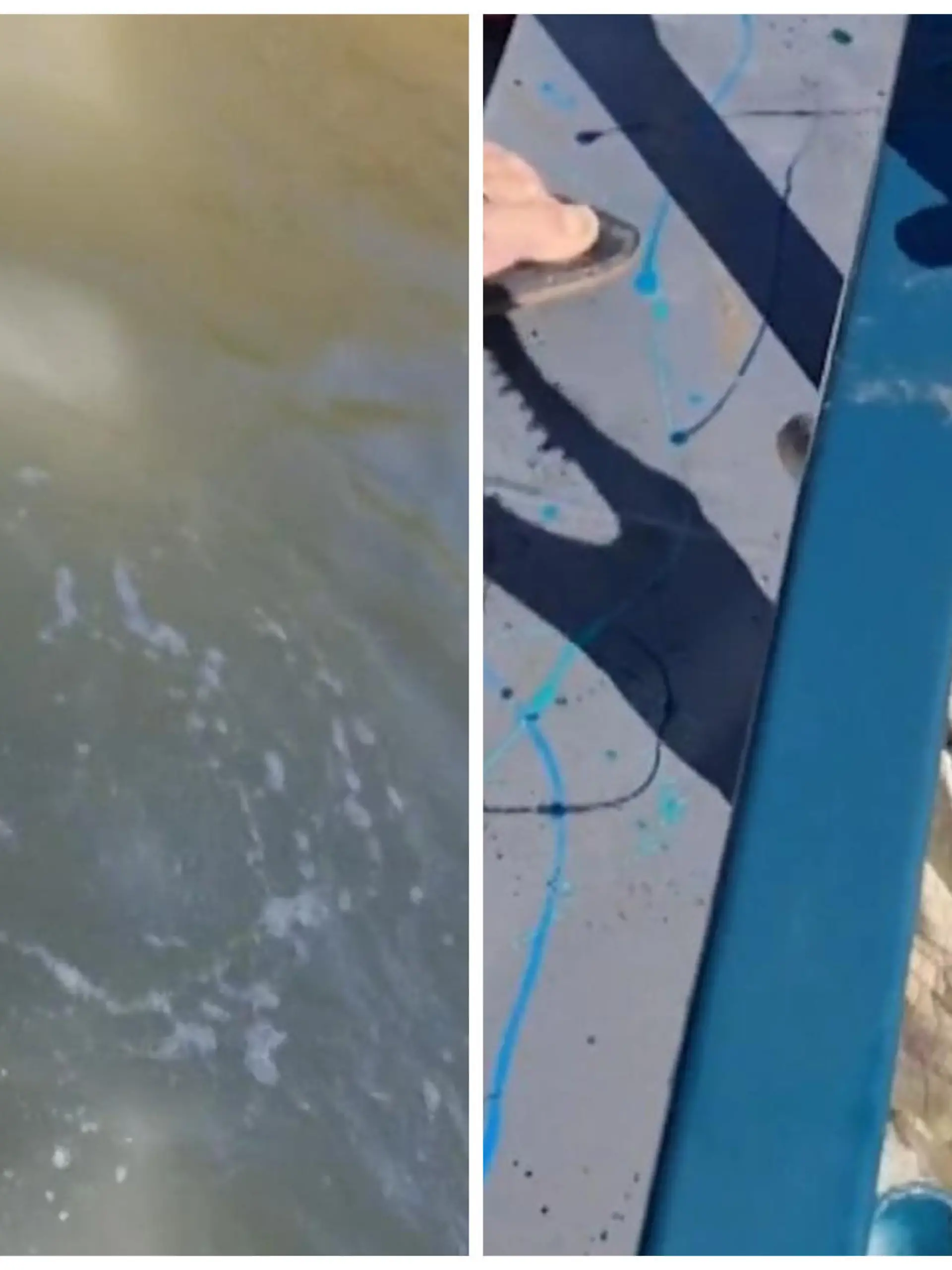 Ein Krokodil verfängt sich im Fischernetz.