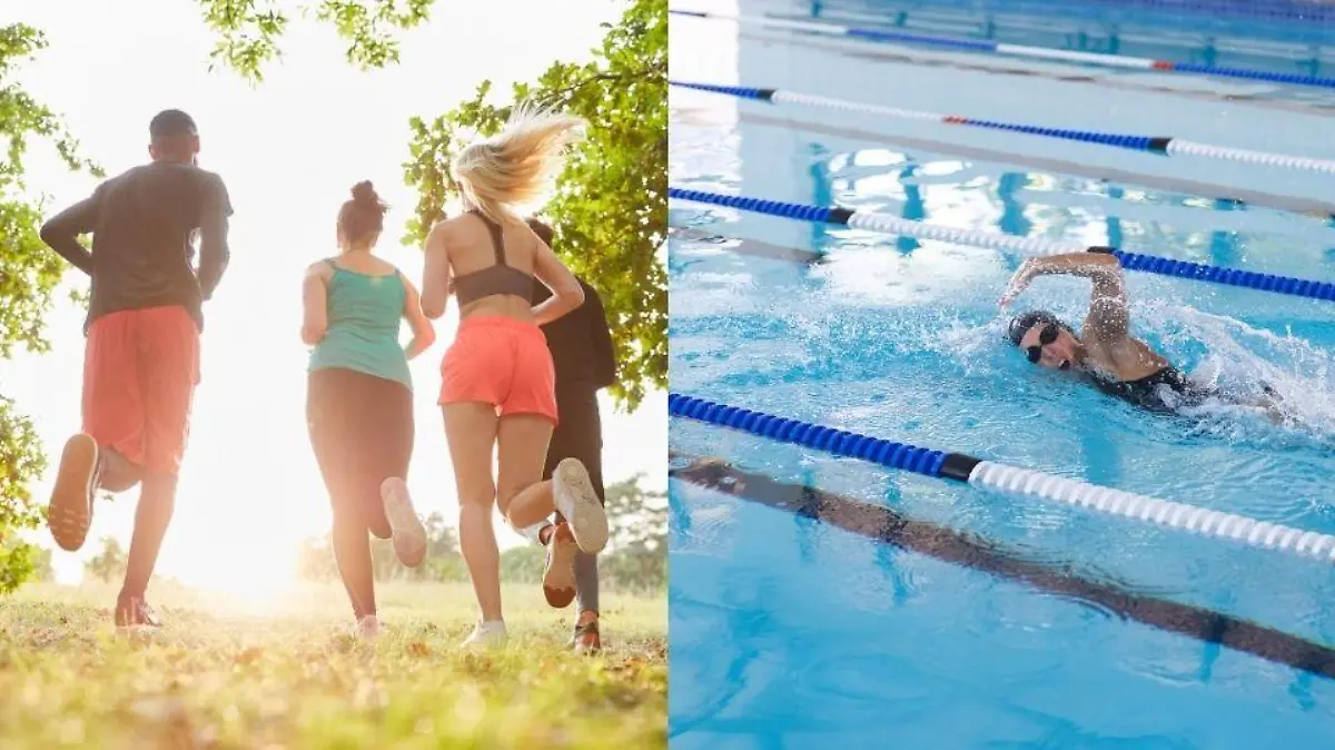 Gruppe junger Leute beim Geländelauf oder beim Jogging in der Natur im Sommer / Caucasian female athlete swimmer swimming laps in a pool. She demonstrates a strong freestyle stroke in an indoor swimming facility.