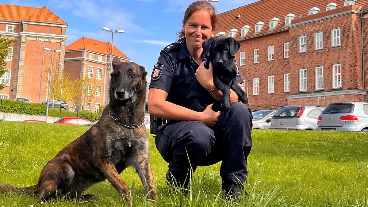 Quelle: Polizeidirektion Kiel