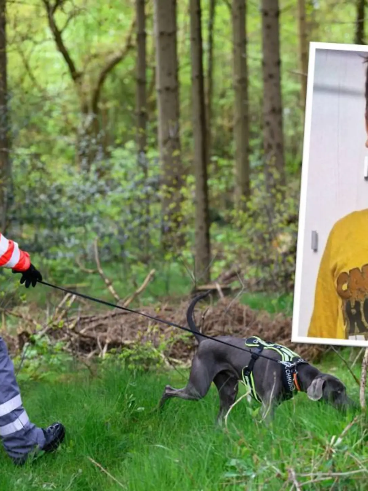 Hunde haben bei der Suche nach Arian eine Fährte aufgenommen