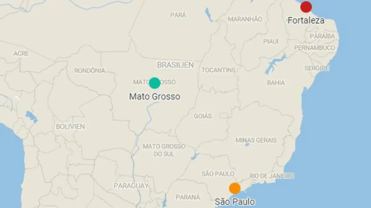 Hund stirbt nach langer Reise in Brasilien.