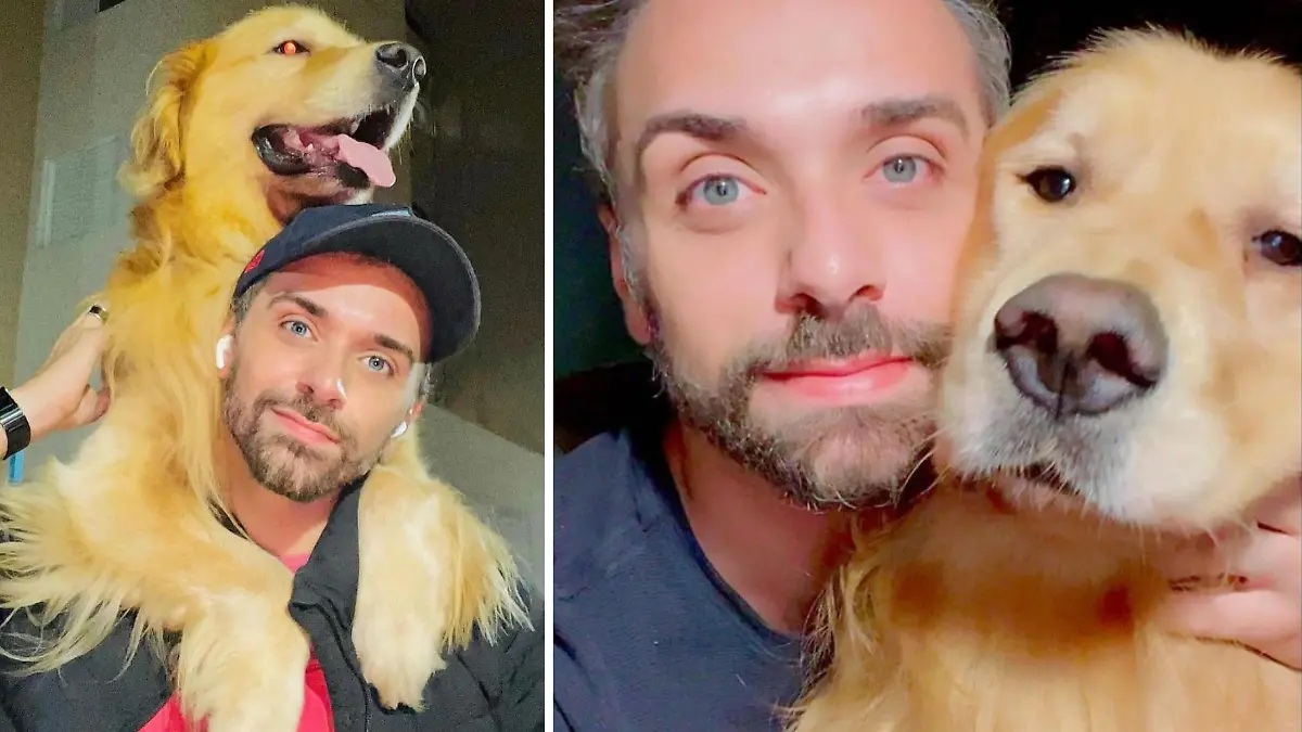 Mit Fotos möchte João Fantazzini an seinen verstorbenen Hund erinnern.