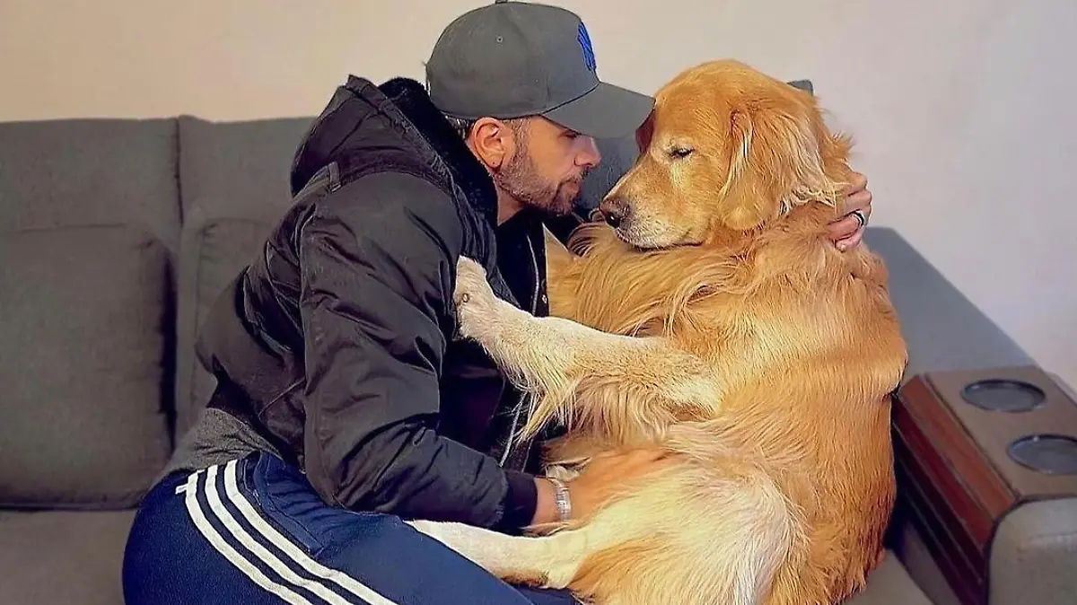 Der Tod des Hundes wurde laut Sterbeurkunde durch einen Herzstillstand verursacht.