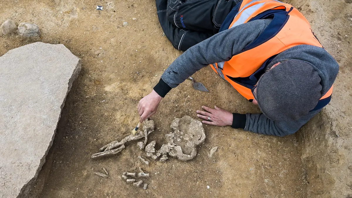27.03.2024, Sachsen-Anhalt, Oppin: Grabungsleiter Uwe Moos arbeitet an dem bemerkenswerten entdeckten Grab, welches wohl in das Endneolithikum (ca. 2800·2200 v. Chr.) gehört. Über den Beinen des Skeletts lag ein großer Stein · man wollte wohl verhindern, dass der Bestattete zum Wiedergänger wird. Die Grabungen finden auf der Baustelle der zukünftigen Gleichstromtrasse SuedOstLink zwischen Wolmirstedt (Sachsen-Anhalt) und Isar (Bayern) statt. Foto: Heiko Rebsch/dpa +++ dpa-Bildfunk +++