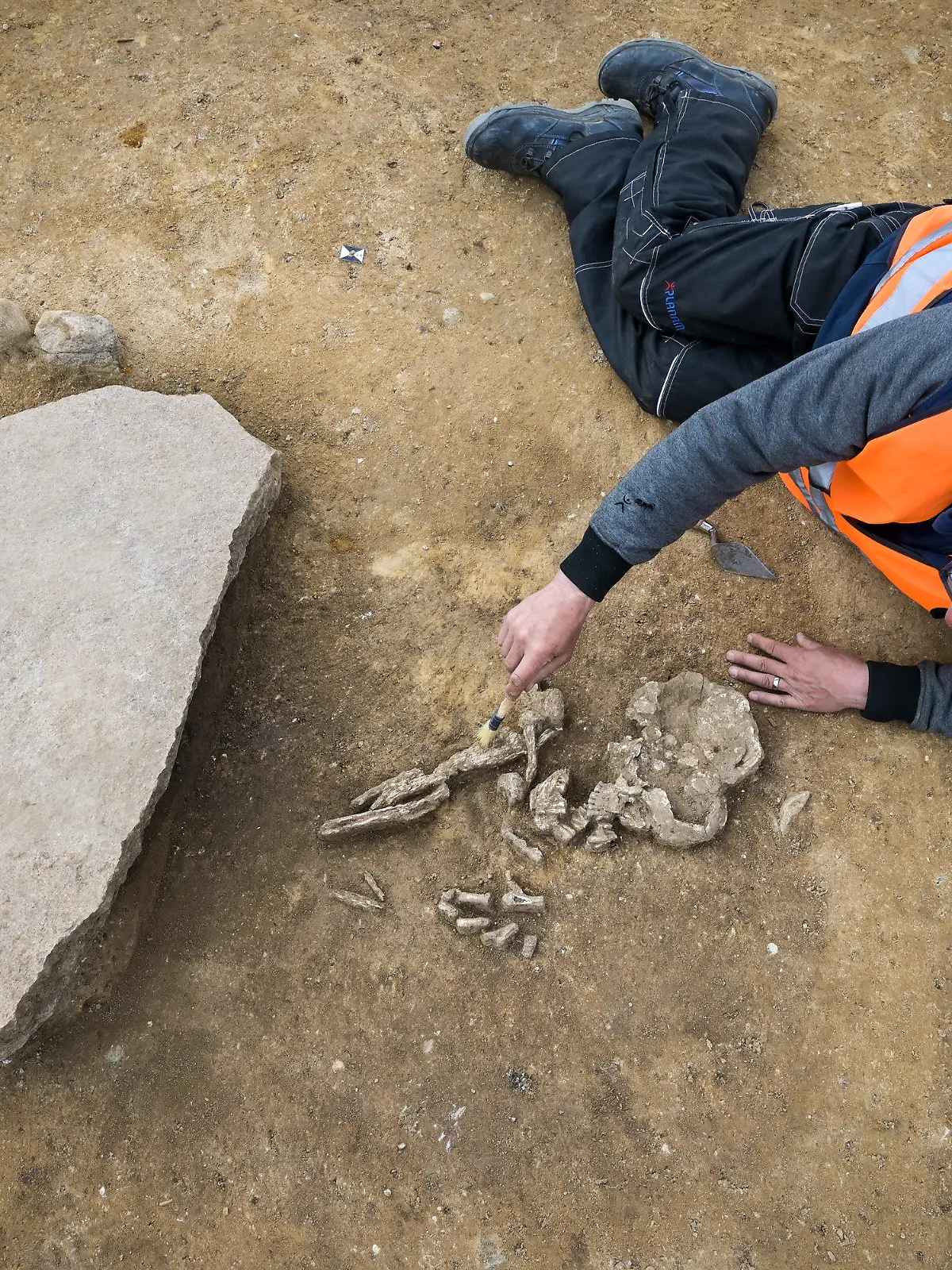 27.03.2024, Sachsen-Anhalt, Oppin: Grabungsleiter Uwe Moos arbeitet an dem bemerkenswerten entdeckten Grab, welches wohl in das Endneolithikum (ca. 2800·2200 v. Chr.) gehört. Über den Beinen des Skeletts lag ein großer Stein · man wollte wohl verhindern, dass der Bestattete zum Wiedergänger wird. Die Grabungen finden auf der Baustelle der zukünftigen Gleichstromtrasse SuedOstLink zwischen Wolmirstedt (Sachsen-Anhalt) und Isar (Bayern) statt. Foto: Heiko Rebsch/dpa +++ dpa-Bildfunk +++