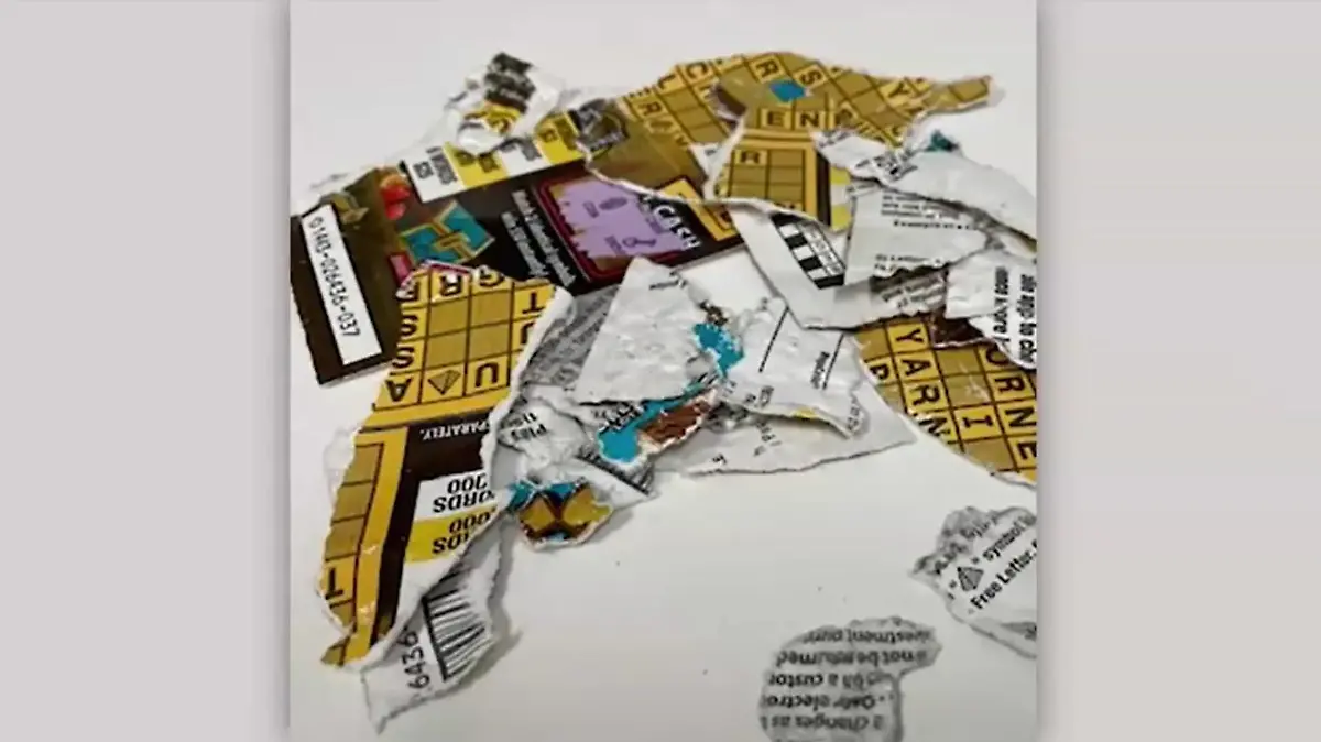 Mehr als ein paar Papier-Fetzen sind vom Lotto-Los nicht mehr übrig.