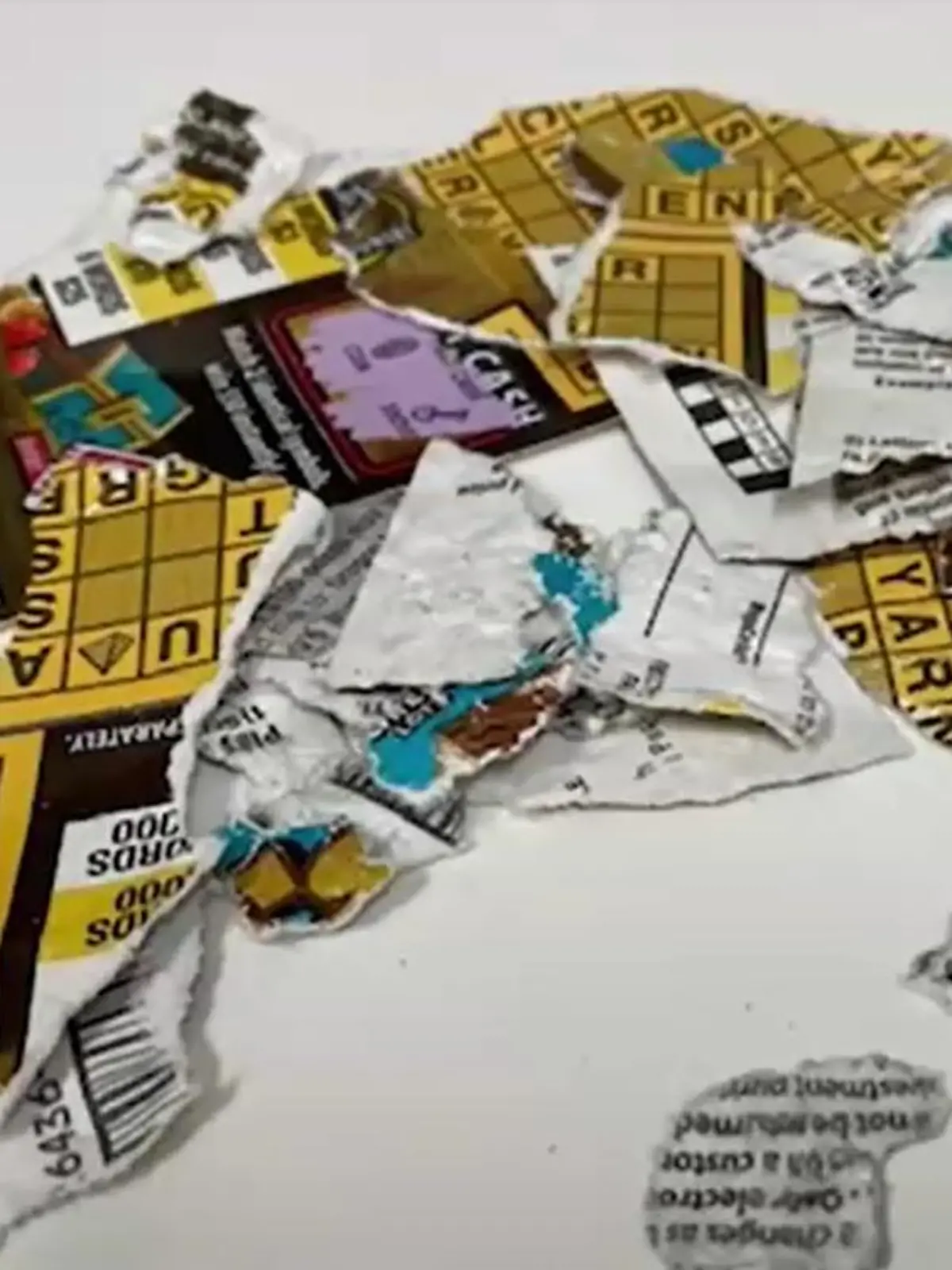 Mehr als ein paar Papier-Fetzen sind vom Lotto-Los nicht mehr übrig.