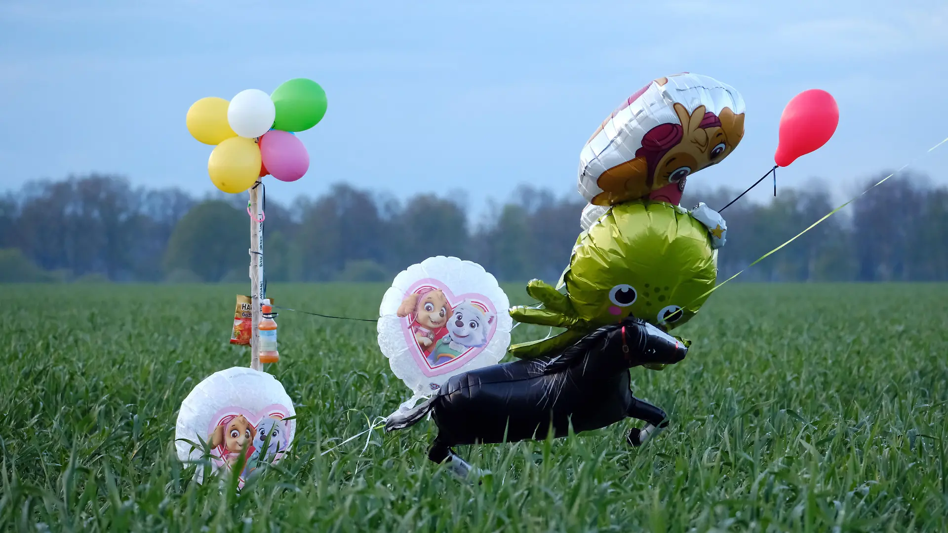 Ballons und Süßigkeiten stehen auf einem Feld bei Bremervörde. Von einem vermissten sechs Jahre alten Jungen aus dem niedersächsischen Bremervörde fehlt noch immer jede Spur.