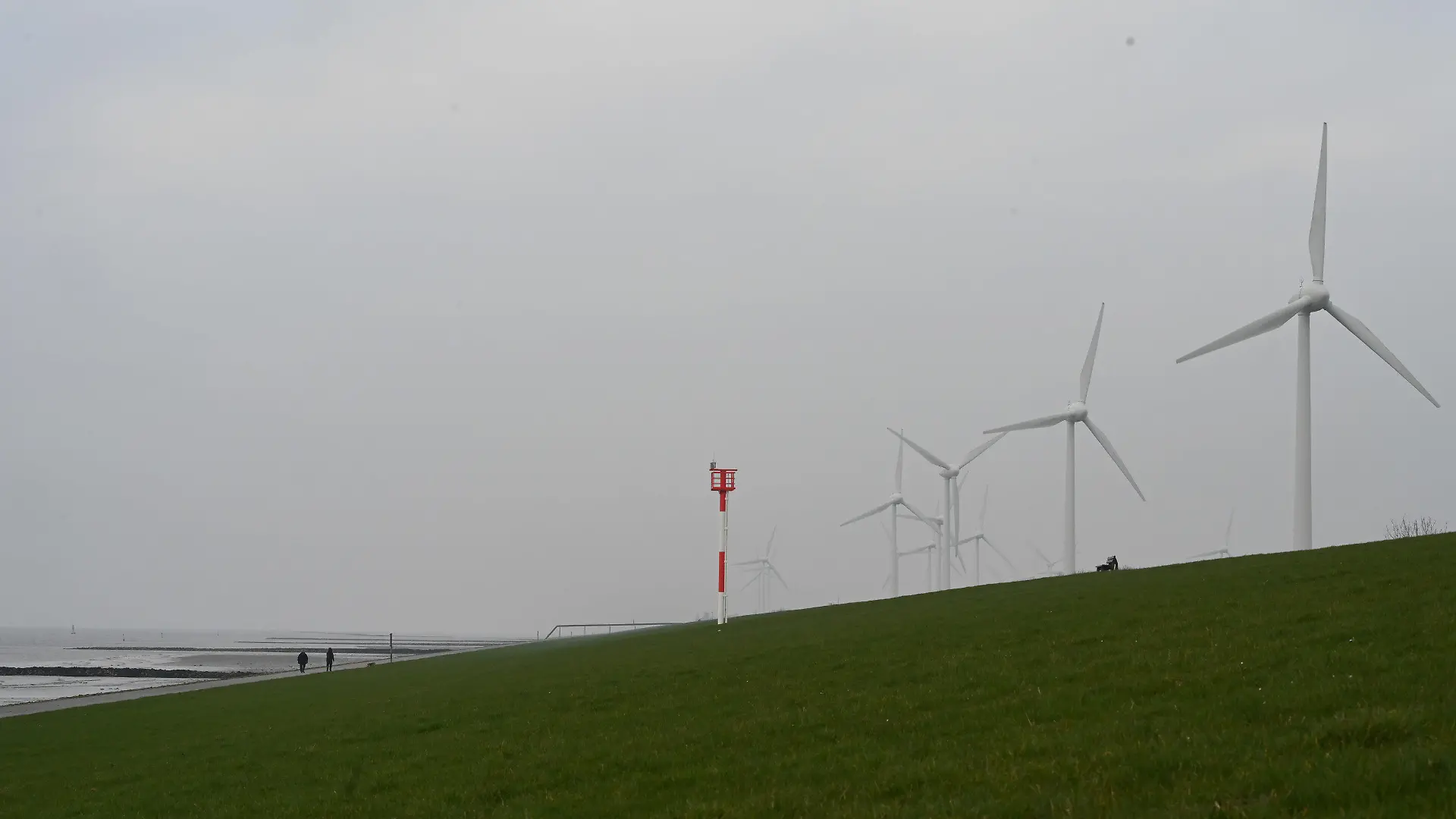 ARCHIV - 10.03.2024, Niedersachsen, Emden: Blick auf den Windpark Rysumer Nacken. (zu dpa: «Elf Menschen bei Gasaustritt an Deich in Ostfriesland verletzt») Foto: Lars Penning/dpa +++ dpa-Bildfunk +++