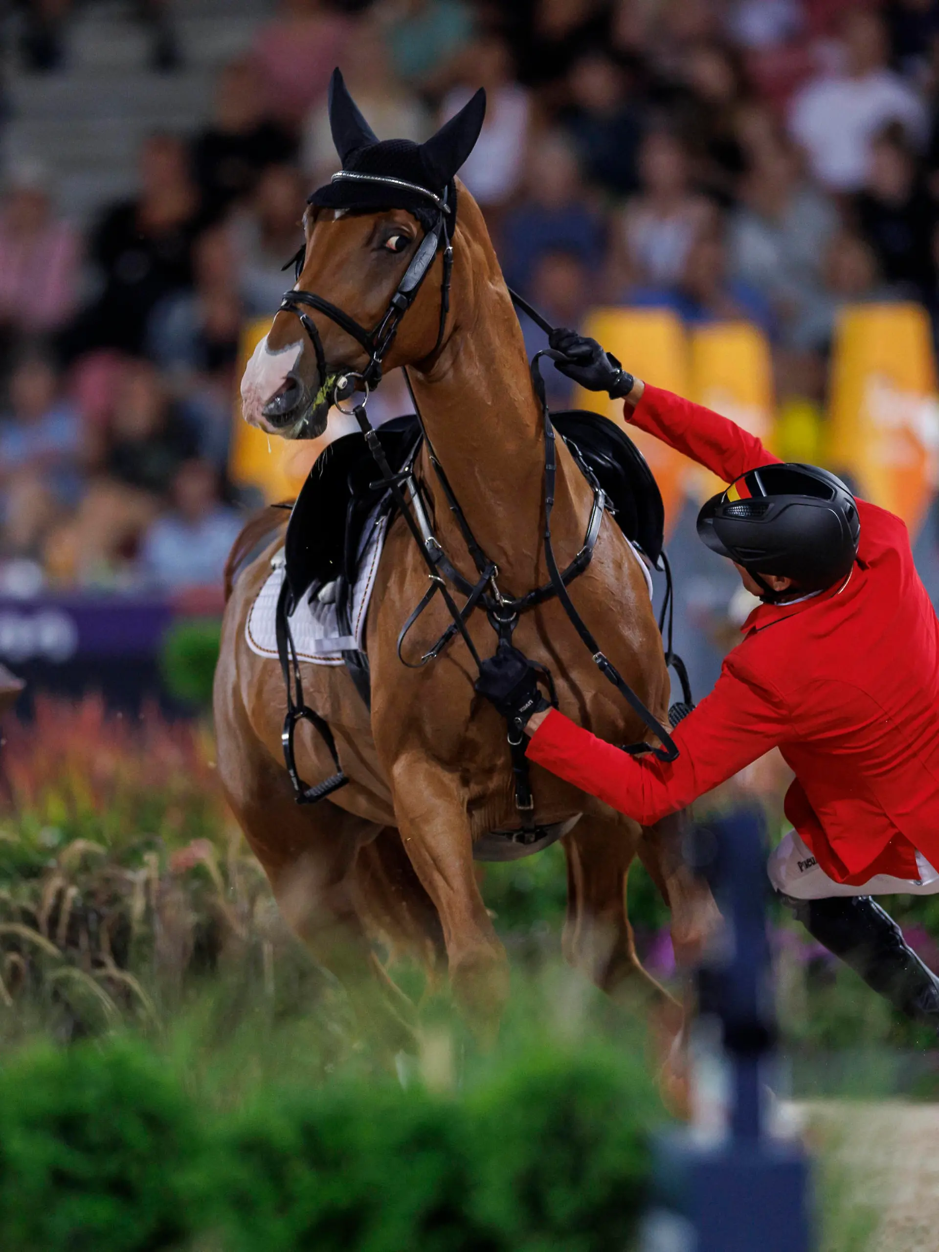 Sport Bilder des Tages HERNING - ECCO FEI World Championships 2022, HERNING - ECCO FEI World Championships 2022 THIEME Andre GER, DSP Chakaria FEI World Jumping Championship - Individual - Second Competition - Round 2 Agria FEI World Jumping Championship presented by Helgstrand Herning, MCH Messecenter 12. August 2022 - *** HERNING ECCO FEI World Championships 2022, HERNING ECCO FEI World Championships 2022 THIEME Andre GER , DSP Chakaria FEI World Jumping Championship Individual Second Competition Round 2 Agria FEI World Jumping Championship presented by Helgstrand Herning, MCH Messecenter 12 August 2022