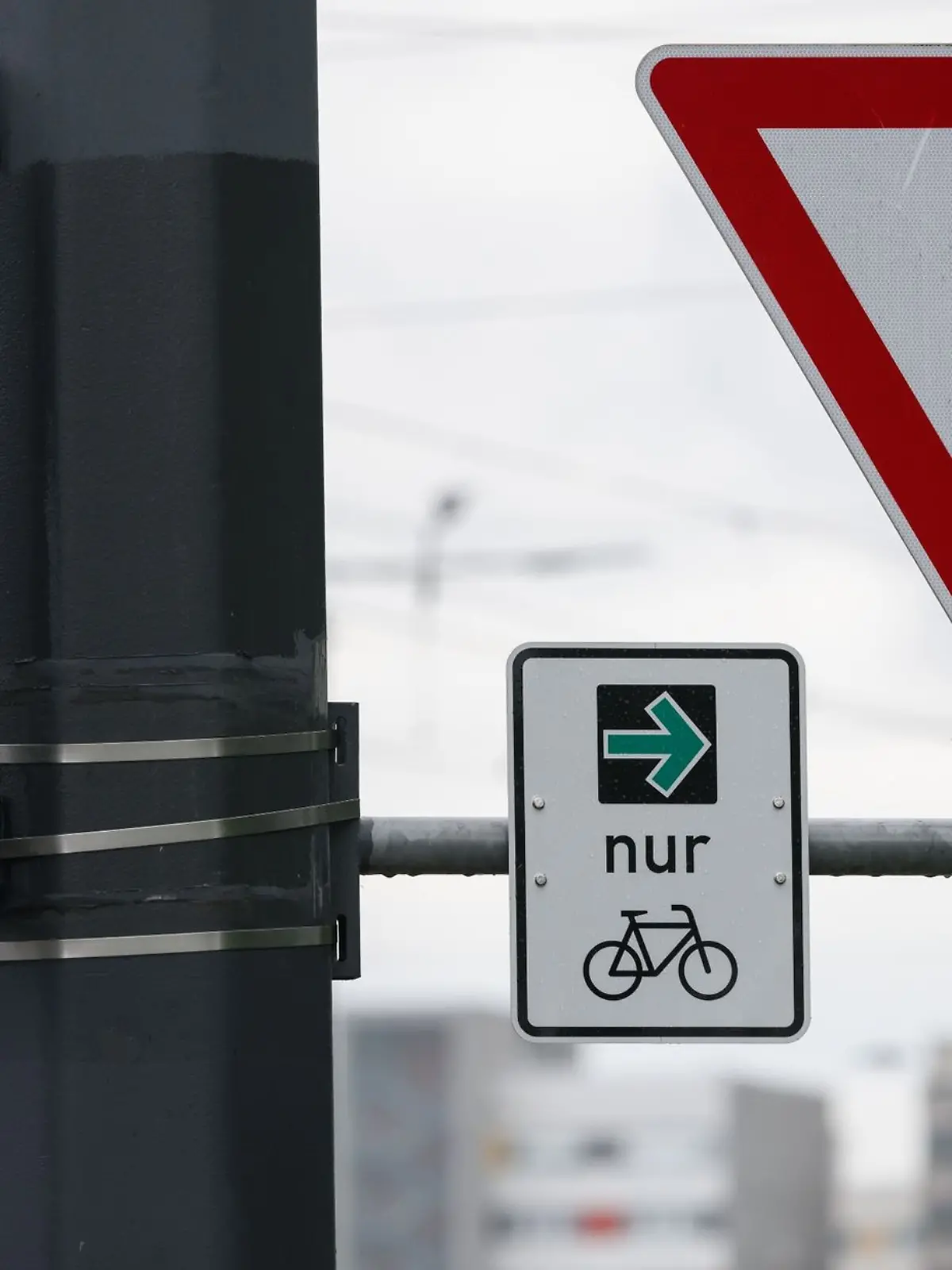 Ein Schild mit einem Grünpfeil für Radfahrer ist an der Ampelanlage an der Albertbrücke montiert.