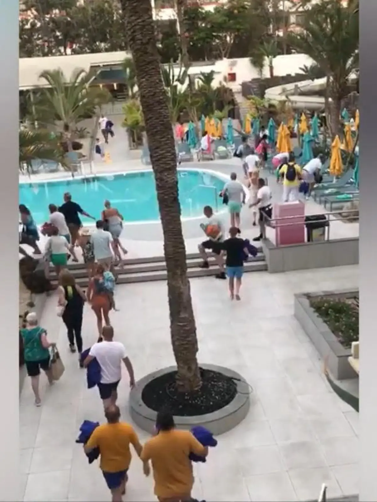 Hier spielen sich völlig verrückte Szenen ab. In einem Hotel auf Teneriffa warten Gäste täglich bis zu 90 Minuten, um ihr Handtuch auf eine begehrte Liege am Pool zu werfen. Die irren Bilder zeigen wir im Video.