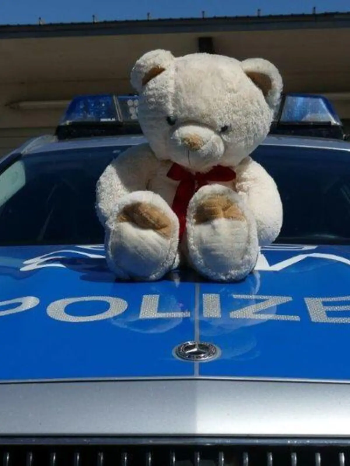 HANDOUT - 12.08.2022, Baden-Württemberg, Mannheim: Ein auf der Autobahn 6 gefundener Teddybär sitzt auf einem Polizeiauto. Die Beamten haben das Stofftier nach einer Rettungsaktion zurückgegeben. (zu dpa: «Polizei rettet Teddy von Autobahn - Besitzer gefunden») Foto: -/Polizei Mannheim/dpa - ACHTUNG: Nur zur redaktionellen Verwendung im Zusammenhang mit der aktuellen Berichterstattung und nur mit vollständiger Nennung des vorstehenden Credits +++ dpa-Bildfunk +++