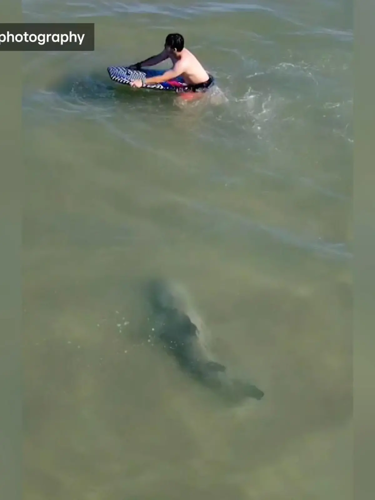 Bei diesen Bildern dreht sich jedem Urlauber der Magen um. Ein Bullenhai, so nah am Strand, so nah an den Menschen im seichten Wasser. Diese Drohnenaufnahmen stammen aus Daytona Beach im US-Bundesstaat Florida. 
Die Badegäste bemerken den Hai überhaupt nicht. Glücklicherweise scheint der Hai genauso wenig Interesse an einem Treffen zu haben.
In den vergangenen Wochen und Monaten ist es an den Küsten der USA vermehrt zu Haisichtungen, und auch Haiattacken gekommen. Wie hier, wo einem Mann der kleine Finger abgebissen wurde.
Zum Glück haben diese Badegäste noch alle Finger beisammen. Und der Hai schon wieder einen anderen Ort zum Schwimmen.