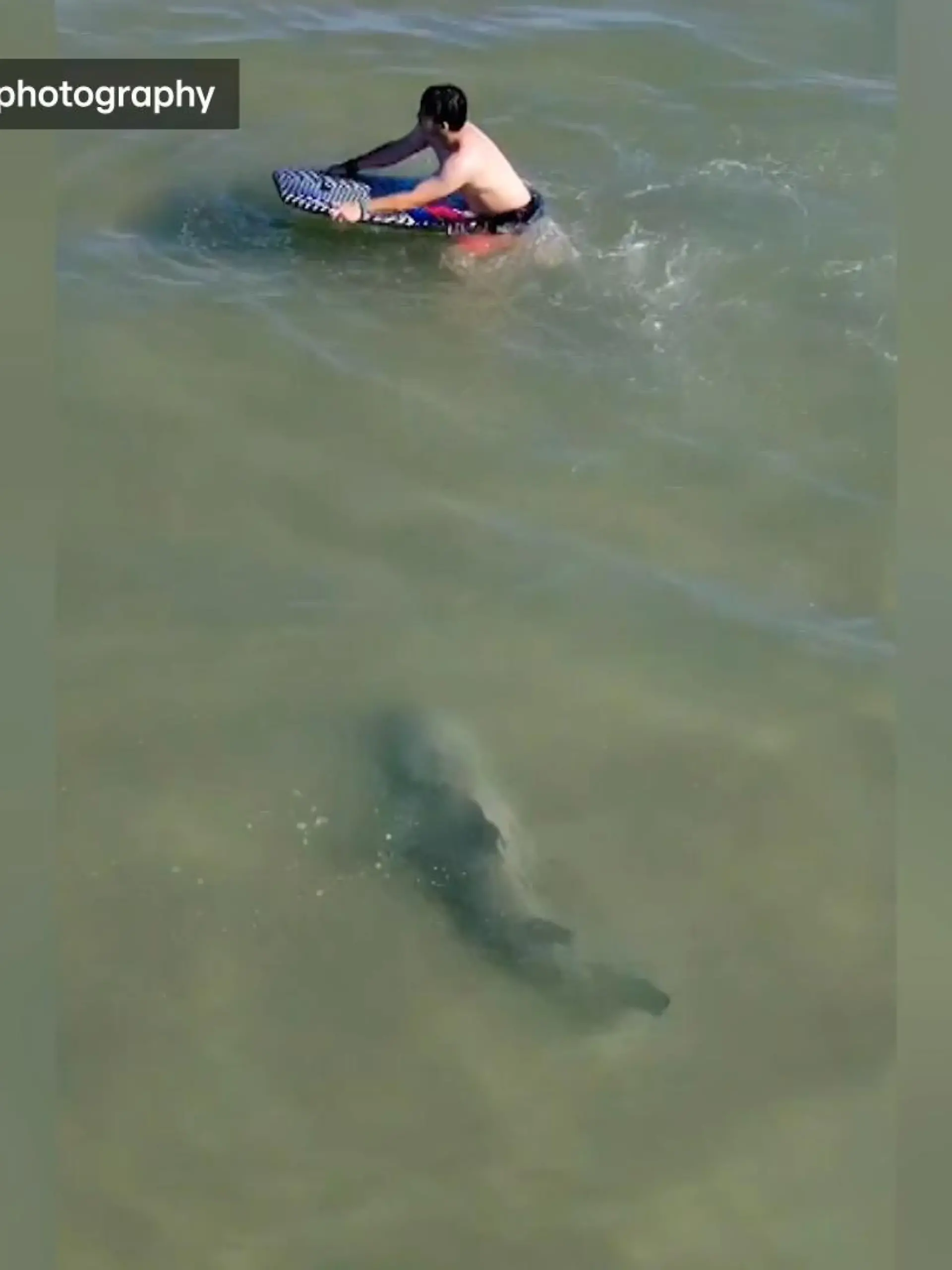 Bei diesen Bildern dreht sich jedem Urlauber der Magen um. Ein Bullenhai, so nah am Strand, so nah an den Menschen im seichten Wasser. Diese Drohnenaufnahmen stammen aus Daytona Beach im US-Bundesstaat Florida. 
Die Badegäste bemerken den Hai überhaupt nicht. Glücklicherweise scheint der Hai genauso wenig Interesse an einem Treffen zu haben.
In den vergangenen Wochen und Monaten ist es an den Küsten der USA vermehrt zu Haisichtungen, und auch Haiattacken gekommen. Wie hier, wo einem Mann der kleine Finger abgebissen wurde.
Zum Glück haben diese Badegäste noch alle Finger beisammen. Und der Hai schon wieder einen anderen Ort zum Schwimmen.