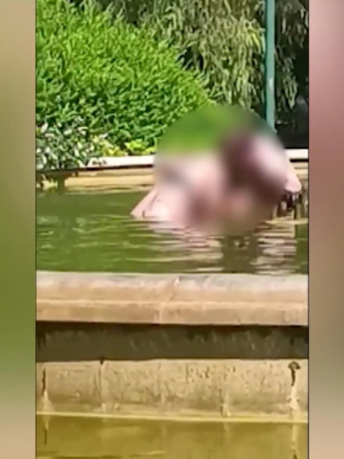 Es sind unfassbare Bilder: In aller Öffentlichkeit versucht ein Mann in der spanischen Stadt Valencia, seine Begleiterin einem Brunnen zu ertränken. Umstehende wissen nicht, wie sie der Frau helfen sollen – dann schreiten zwei heldenhafte Männer ein. Nur dank ihnen kann das Opfer befreit werden. Ihren Heldenmut zeichnete ein weiterer Mensch auf – bei uns sehen Sie die Bilder.