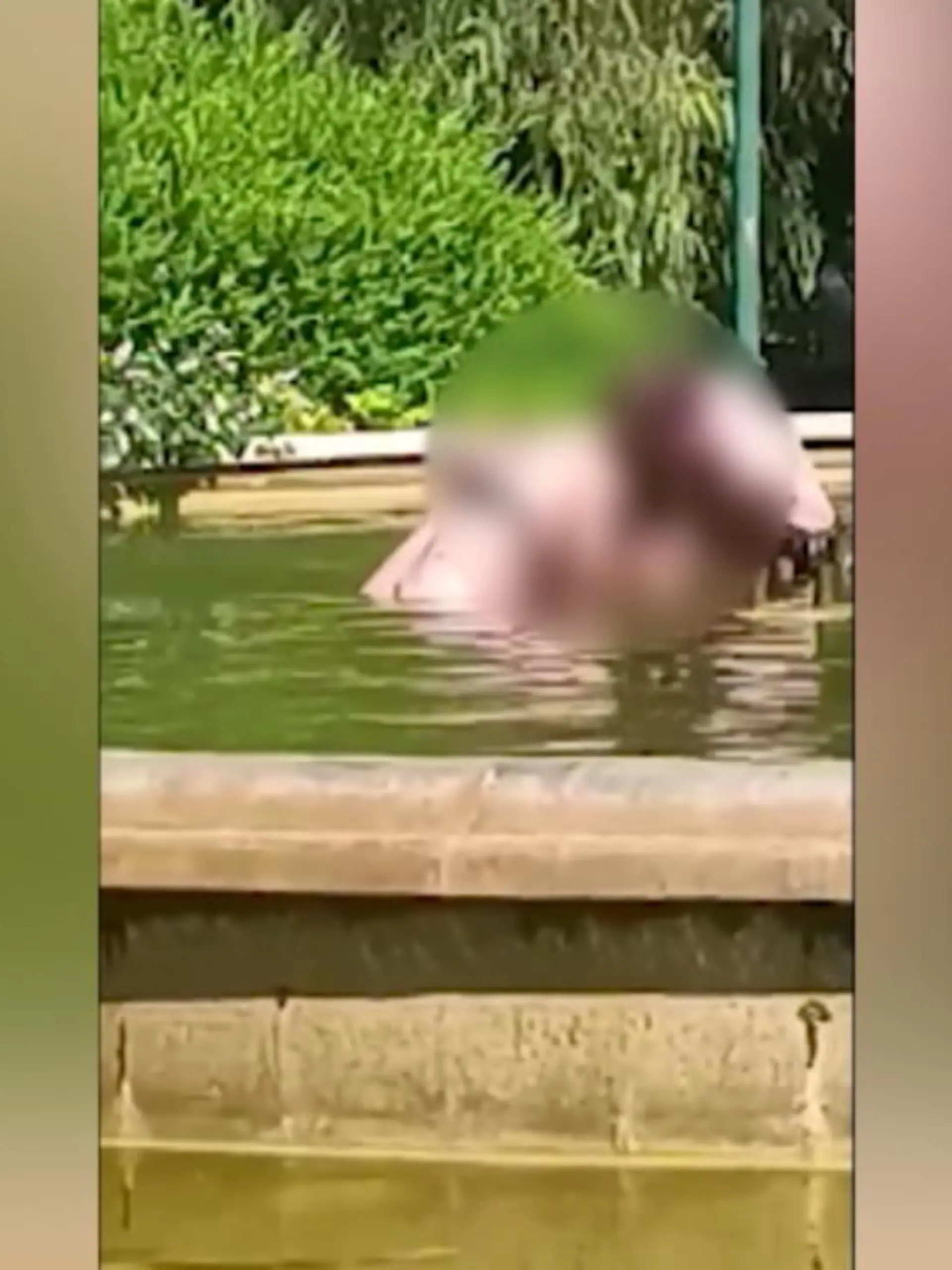 Es sind unfassbare Bilder: In aller Öffentlichkeit versucht ein Mann in der spanischen Stadt Valencia, seine Begleiterin einem Brunnen zu ertränken. Umstehende wissen nicht, wie sie der Frau helfen sollen – dann schreiten zwei heldenhafte Männer ein. Nur dank ihnen kann das Opfer befreit werden. Ihren Heldenmut zeichnete ein weiterer Mensch auf – bei uns sehen Sie die Bilder.