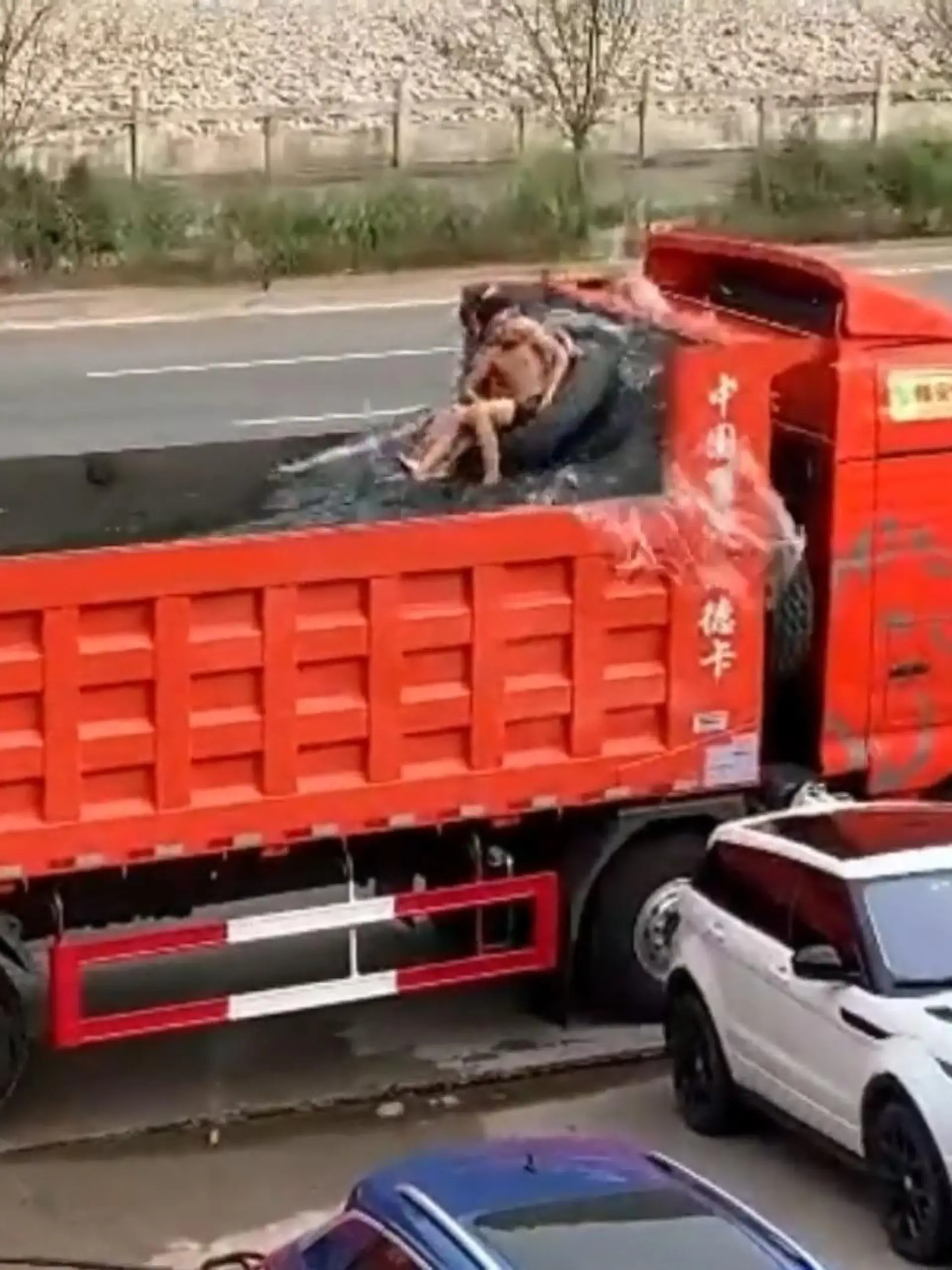 Na, wenn DAS mal nicht nach großem Spaß aussieht! Auch Südchina ist von der Hitze nicht ausgenommen, diese beiden Männern scheinen damit aber ganz gut klarzukommen. 
Sie haben kurzerhand die Ladefläche dieses Trucks mit Wasser gefüllt. Und planschen mit ihren Ringen fröhlich darin herum. Das Beste: durch das Vor- und Zurückfahren, simuliert der Truck sogar einen ordentlichen Wellengang. 
Und auf Sicherheit sind sie auch bedacht, denn ein Seil soll die beiden daran hindern, aus dem Becken zu fallen. Auf so etwas muss man erstmal kommen.
