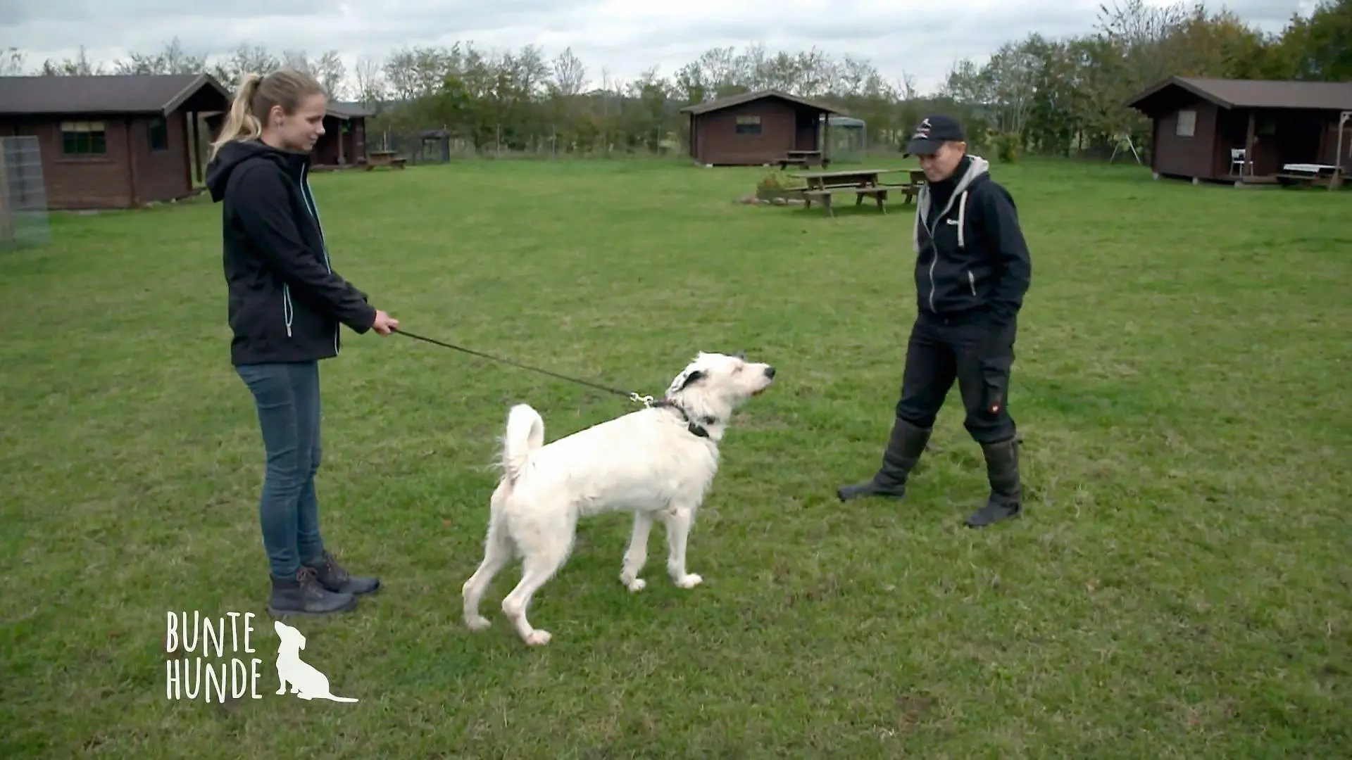 Sophia macht Hundetraining mit schwer erziehbaren Tieren Nach Ausbildung