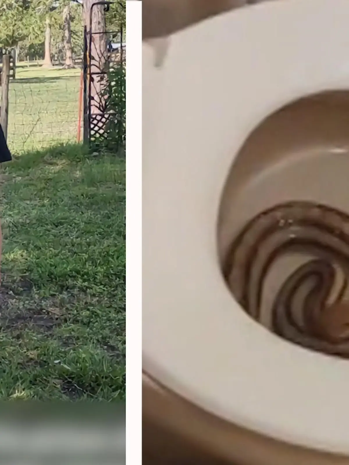 Diese Frau wird künftig wohl zweimal nachschauen, bevor sie sich auf die Toilette setzt - warum erfahren Sie im Video.