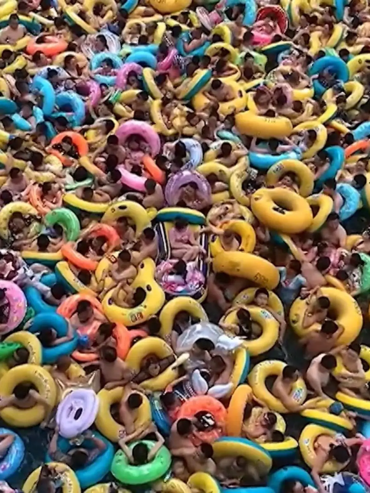 Menschen mit Klaustrophobie sollten bei diesem Video besser wegsehen. Diese Szenen aus einem chinesischen Schwimmbad gehen aktuell um die Welt – und das aus gutem Grund. Zu sehen ist ein Becken, was bis zum Rand mit Menschen und ihren Schwimmreifen gefüllt ist.