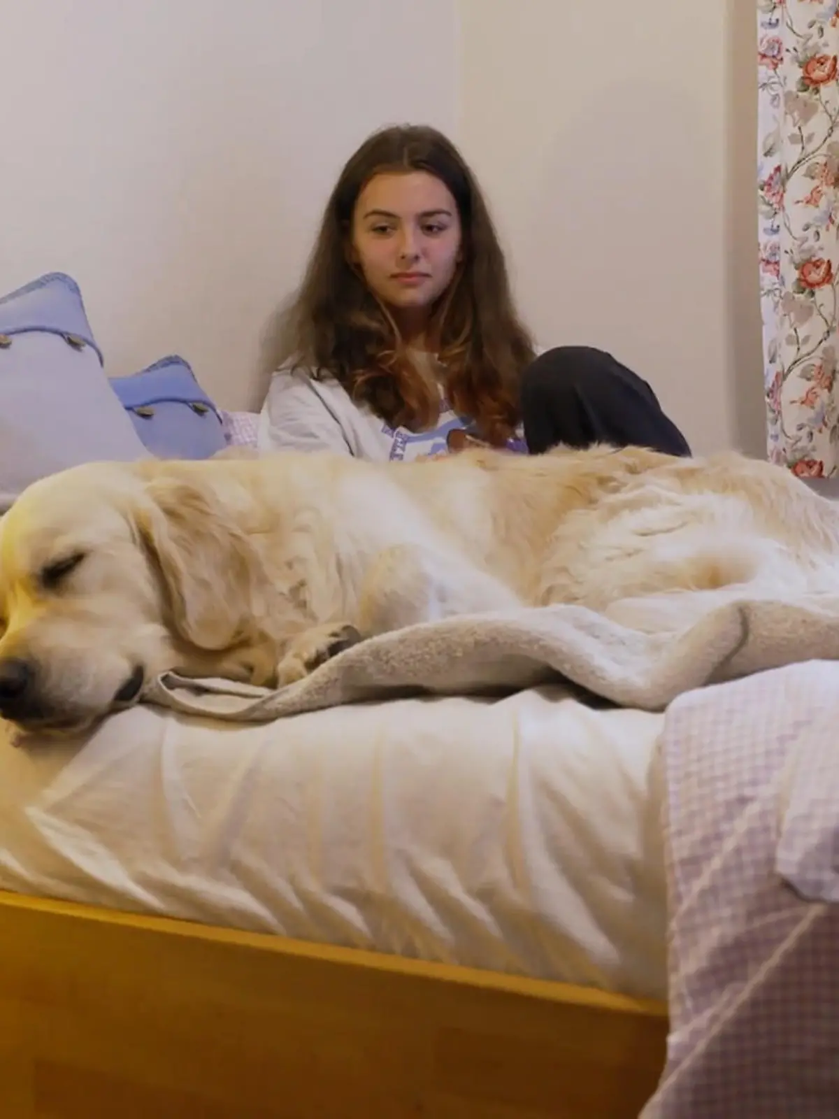 Bild zu: "Chap hat positiven Einfluss auf Autistin Annika"