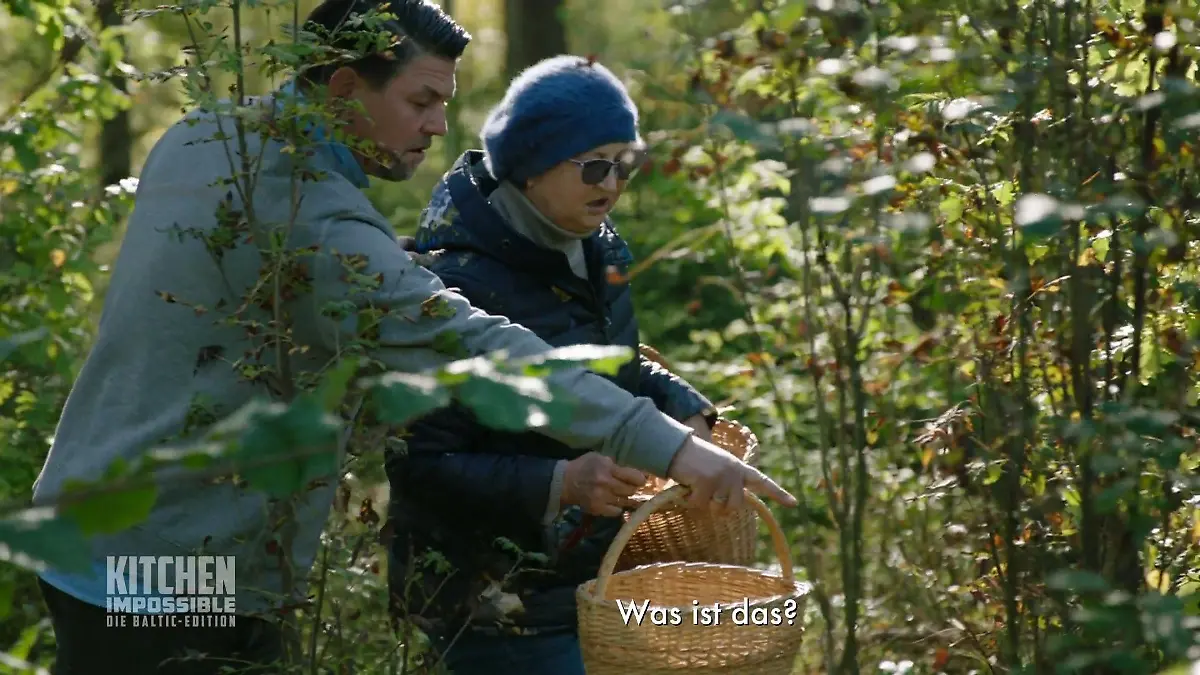 Tim im Pilzglück Ab in den Wald!