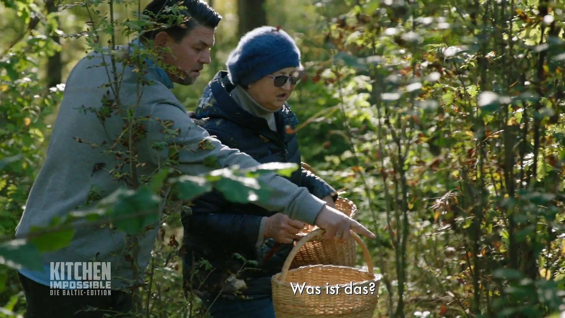 Tim im Pilzglück Ab in den Wald!
