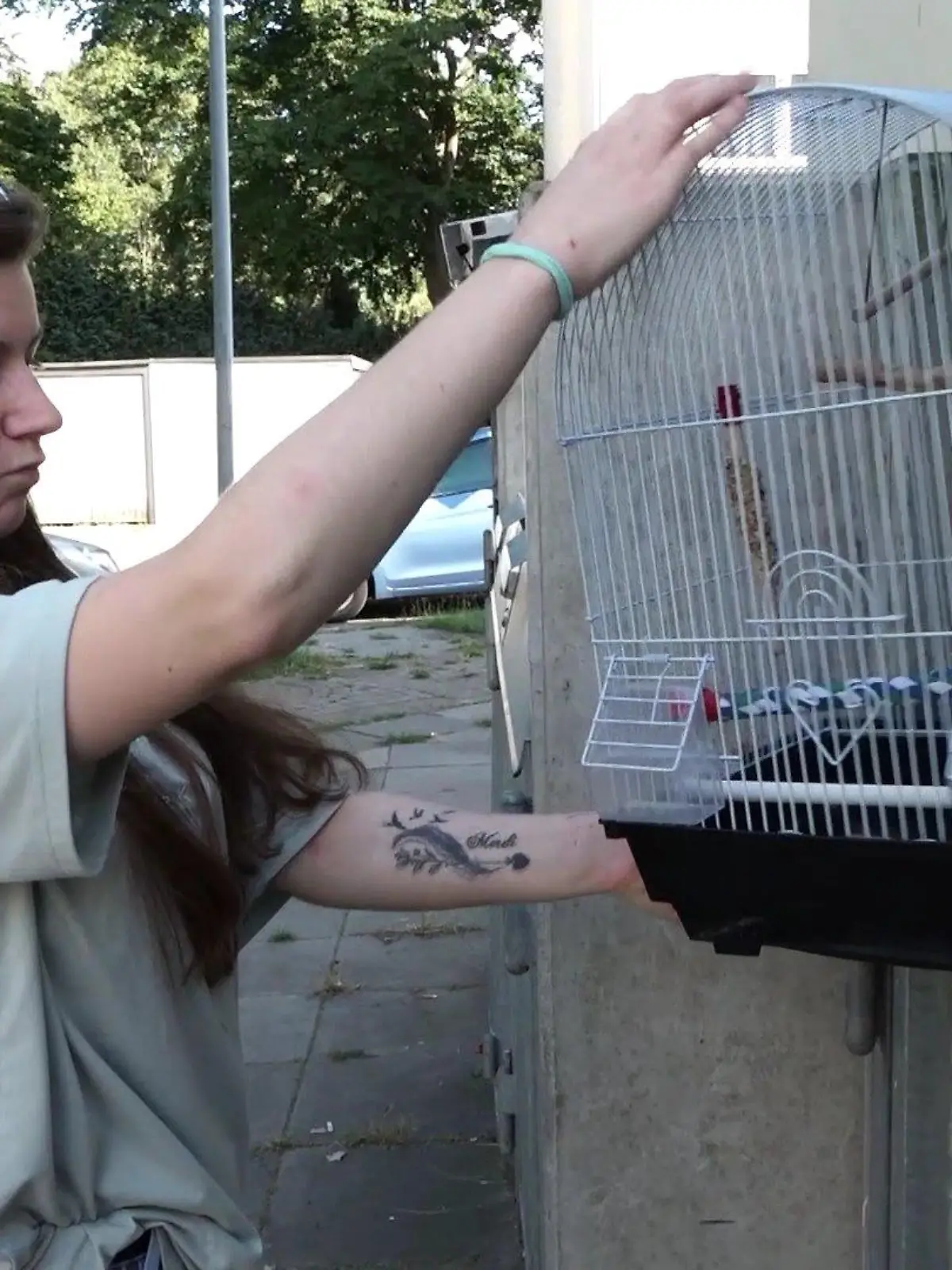 Vogelkäfig lag im Müllcontainer