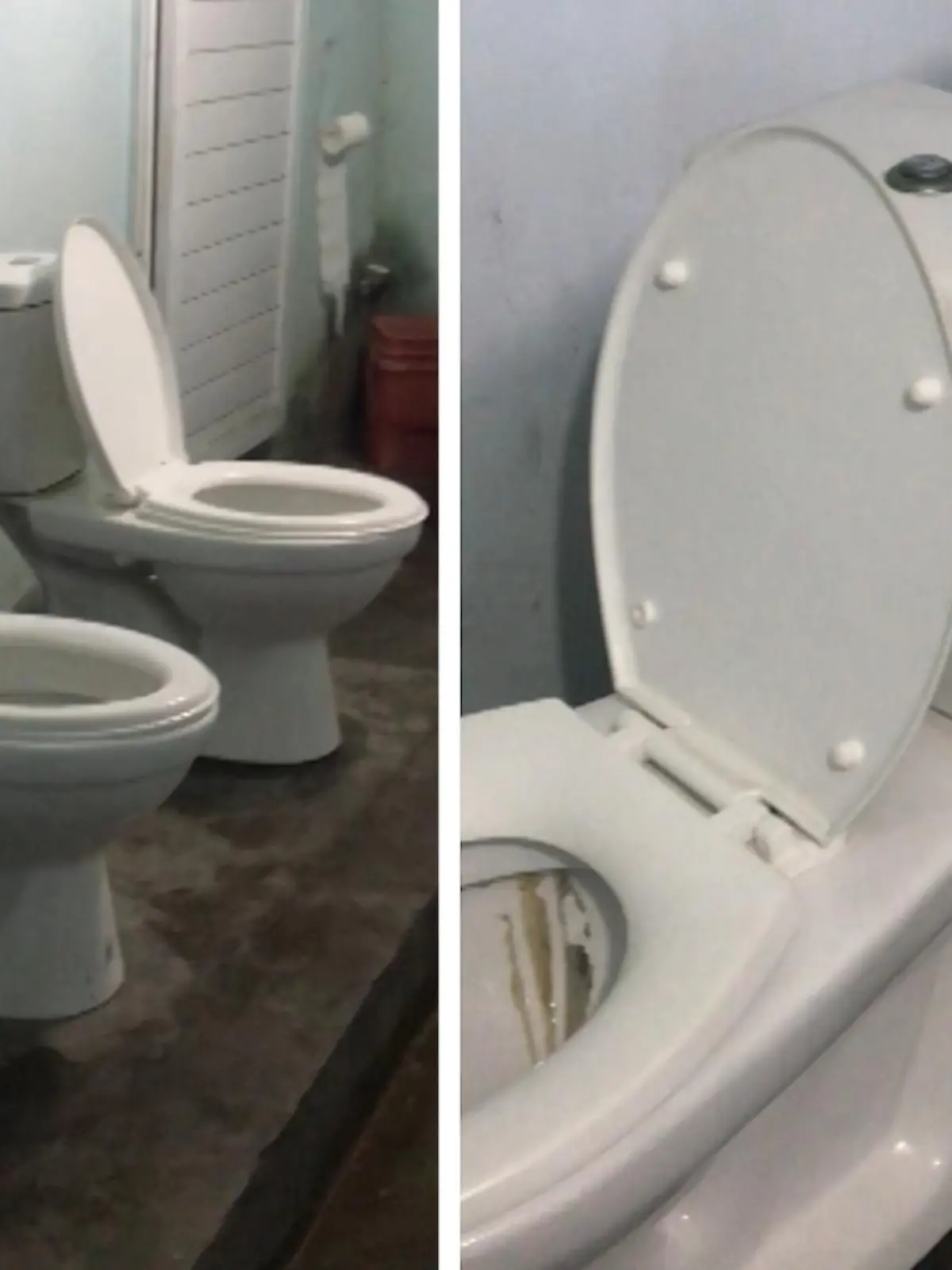 Beim Anblick dieser Toilette sollte sich besser nicht der Magen umdrehen - denn hier ist das Geschäft ein Gruppenerlebnis.