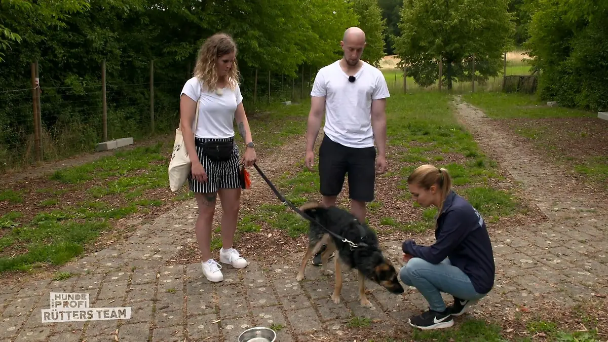 Wie schätzt Profi Sophie Hündin Honey ein? Erstes Treffen