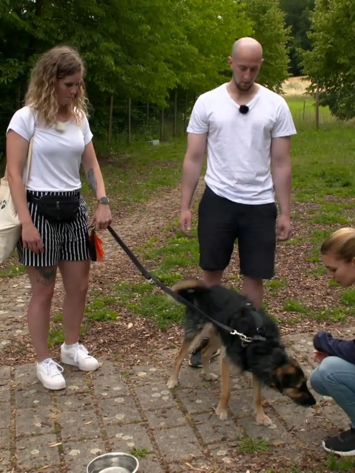 Bild zu: "Wie schätzt Profi Sophie Hündin Honey ein?"