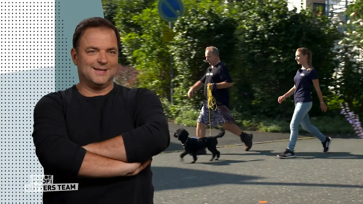Pudeldame Coco macht Fortschritte Gassi gehen