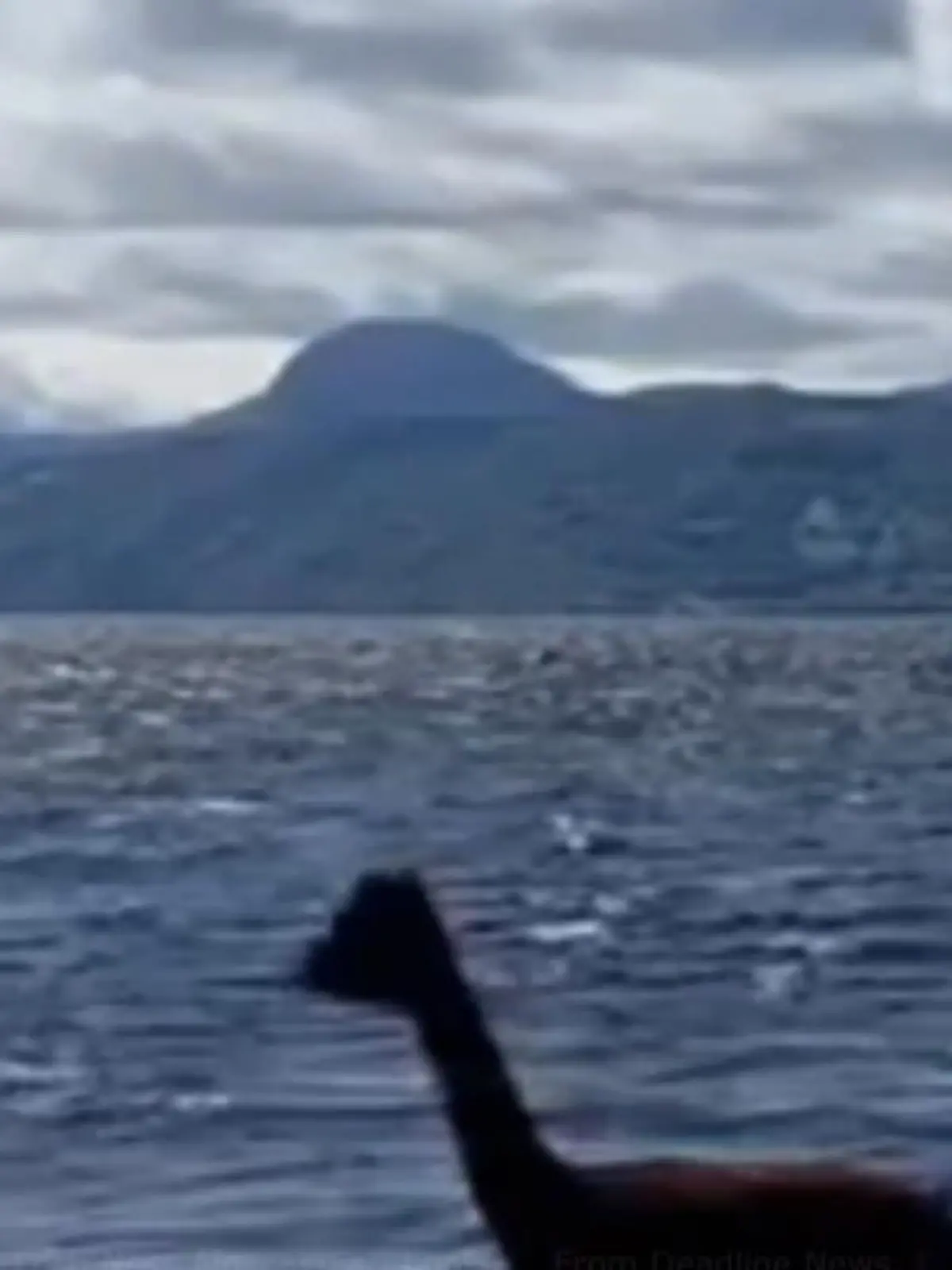 Zuschauer filmen ein Wesen in Loch Ness, das an Seeungeheuer Nessie erinnert.