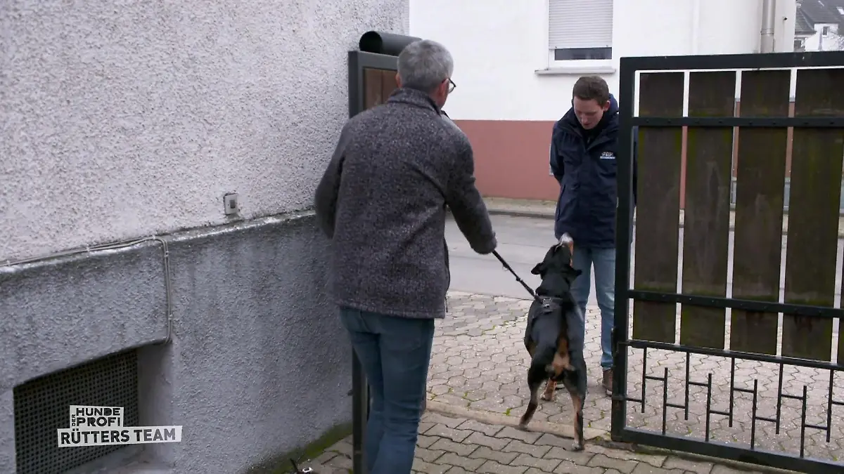 Was erwartet Marcel heute? Bei Bruno