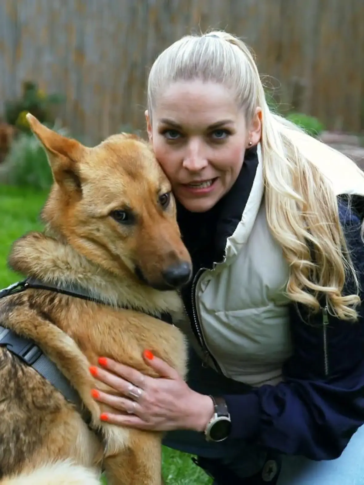 Bild zu: "Die Suche nach dem perfekten Hund"