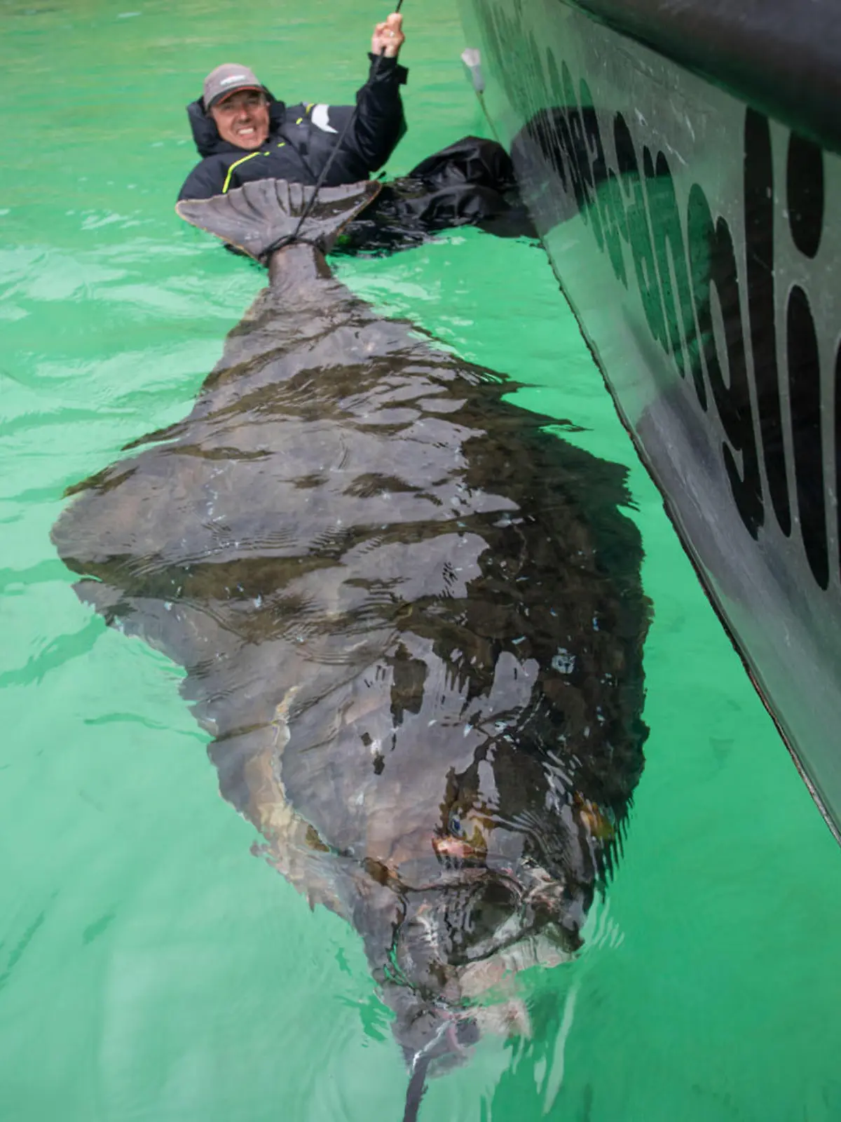 Angler Paul Stevens is celebrating today after landing the biggest ever halibut fish caught by a Brit