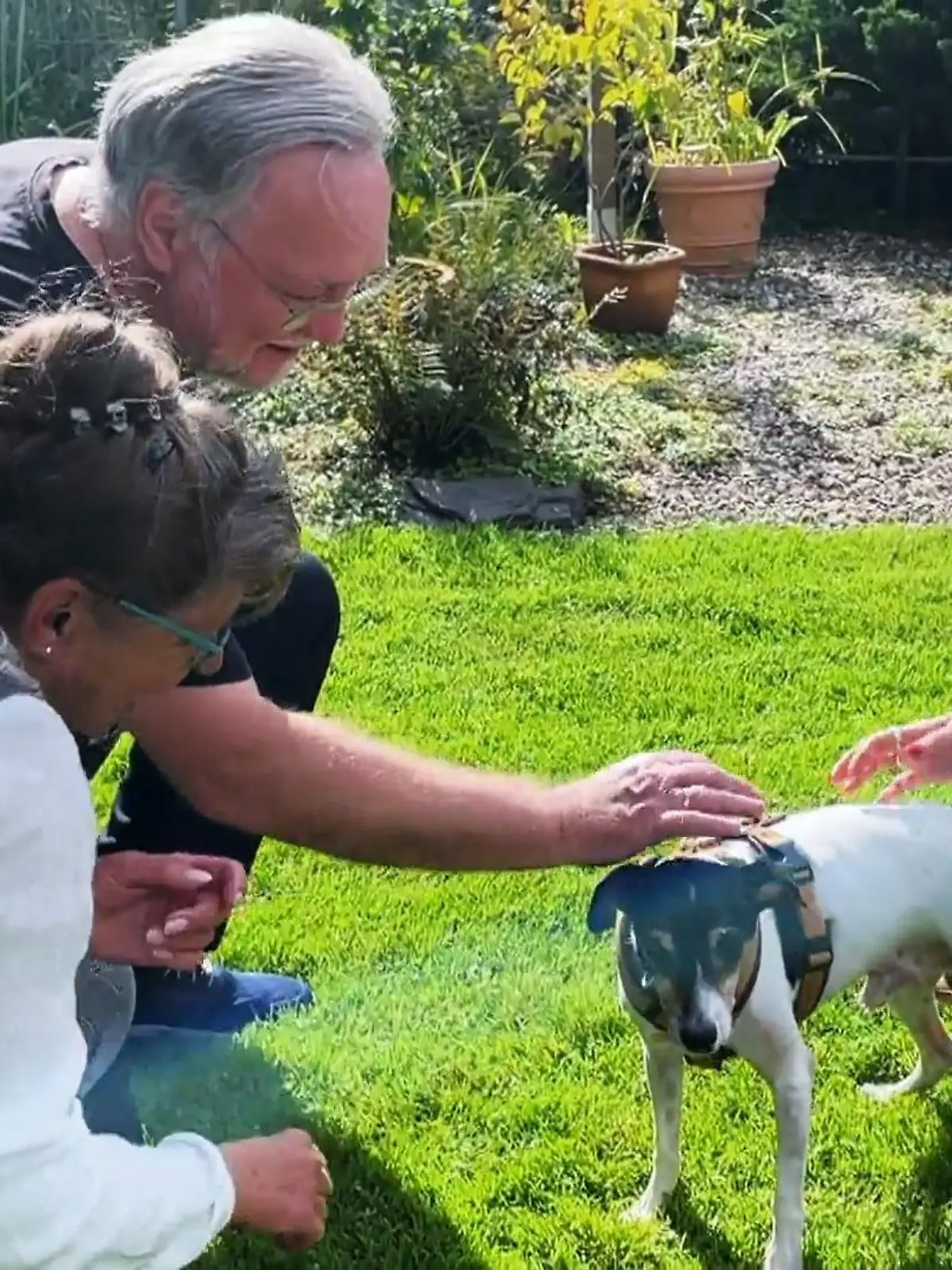 Bild zu: "Rüde Messi kommt in sein neues zu Hause"
