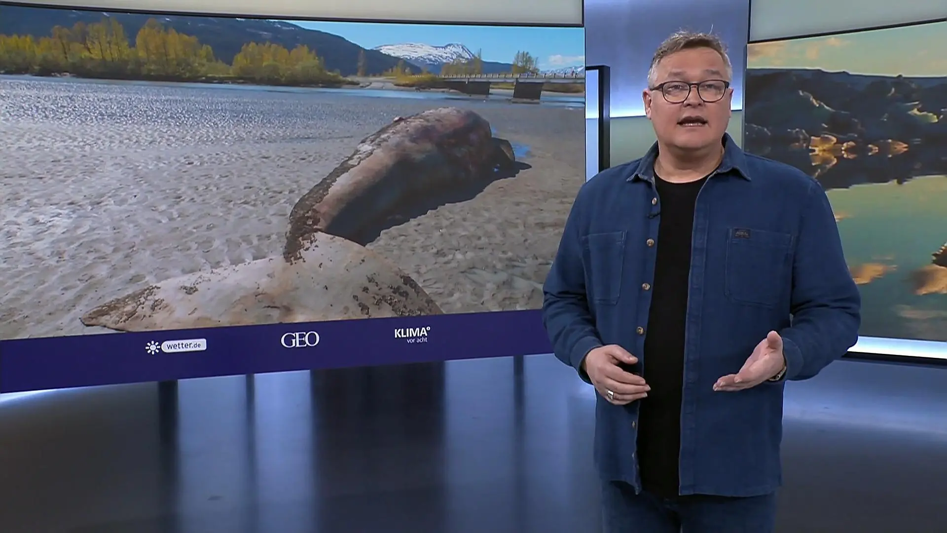 Ausgemergelte Grauwale tot an die Küste geschwemmt Rätselhaftes Phänomen im Nordostpazifik