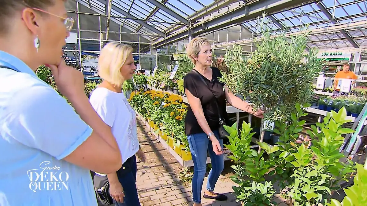 Katja hat keine Angst vor Risiken Mut zur Veränderung