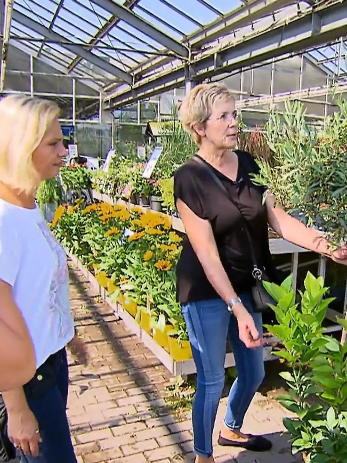 Bild zu: "Katja hat keine Angst vor Risiken"