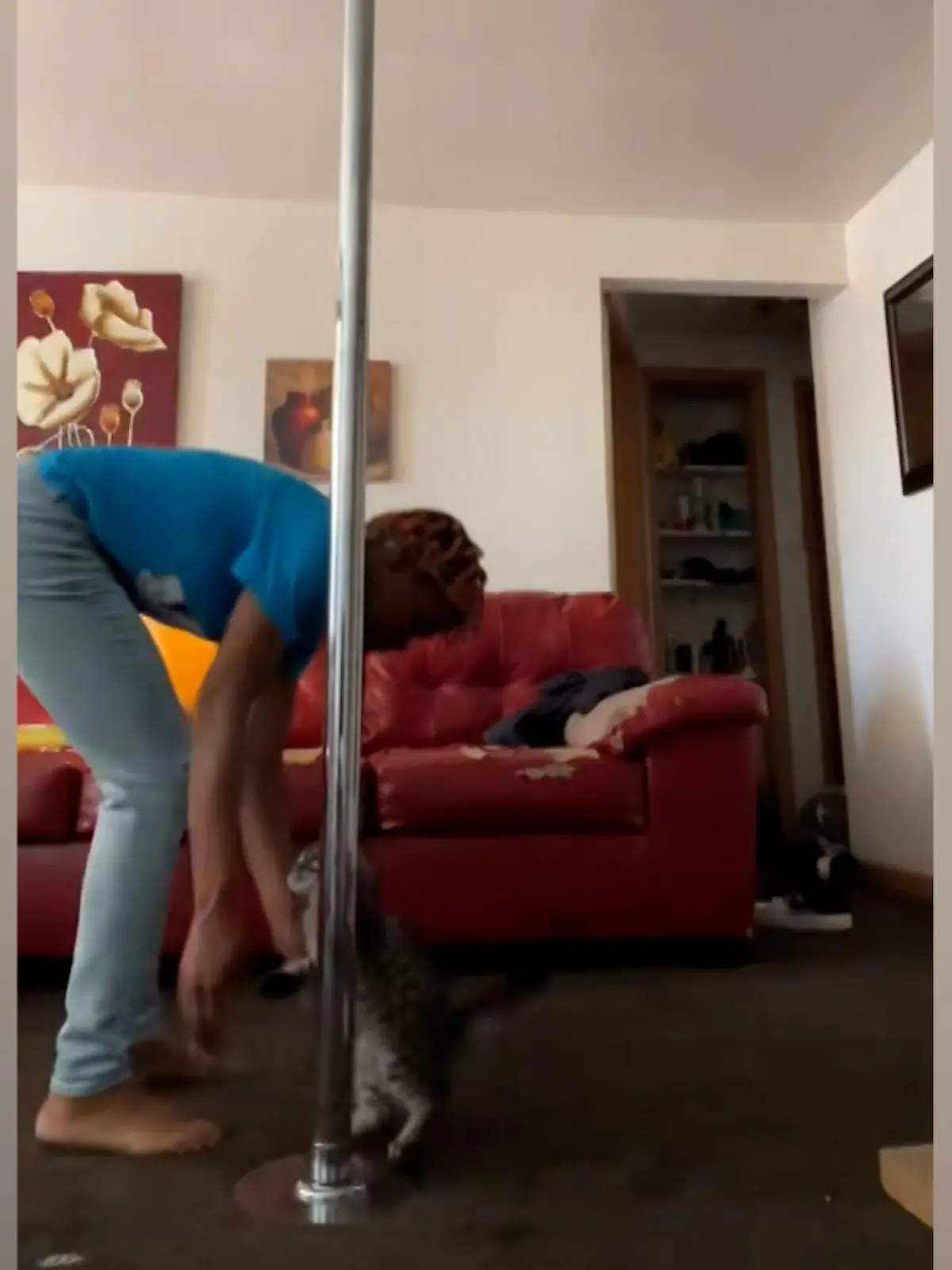 Während diese Frau sich an der Poledance-Stange räkelt, merkt sie, dass ihre Katze besonders interessiert zuschaut. Deshalb hält sie die Katze bei der Stange – allerdings nicht so, wie man es im Volksmund kennt.