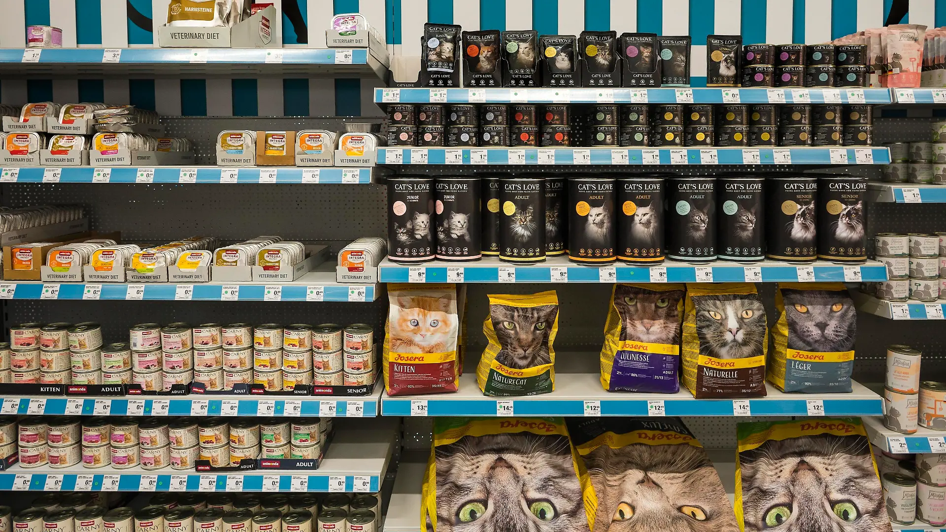 Katzenfutter im Baumarkt, München, Oberbayern, Bayern, Deutschland, Europa