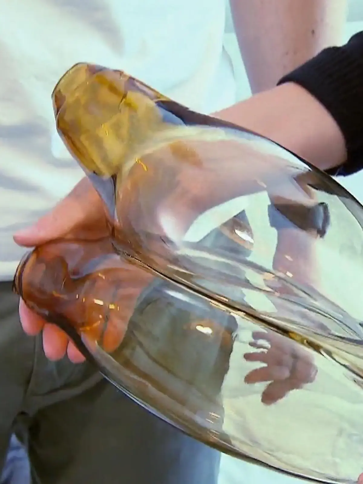 Bild zu: "Organisch geformtes Glas im Wohnzimmer"