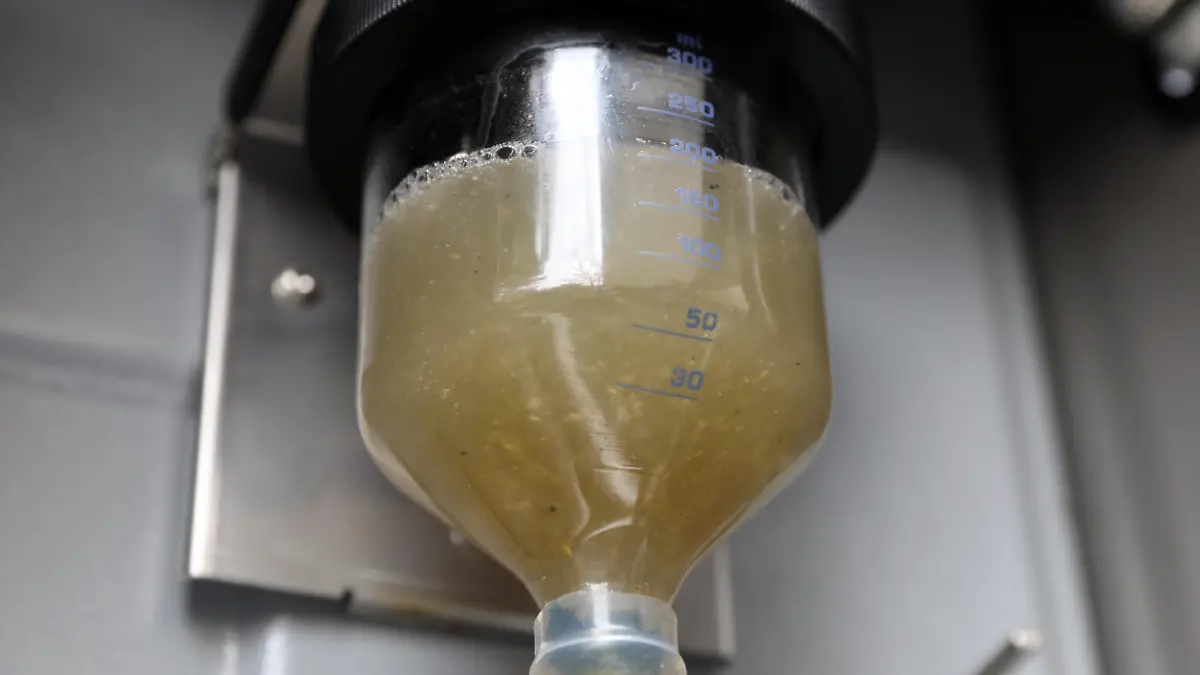 ARCHIV - 24.03.2022, Mecklenburg-Vorpommern, Rostock: Bei Nordwasser wird bei der automatischen Probennahme von Abwasser eine Probe entnommen, die u.a. auf Corona-Viren untersucht wird. Relativ niedrige Kosten, geringer Aufwand und ein Echtzeit-Lagebild der Pandemie: Amtsärzte haben sich kürzlich eine Ausweitung von Abwasseranalysen auf Corona-Spuren ausgesprochen. (zu dpa «Mehr Klarheit dank trüber Brühe? Wie man Corona im Abwasser aufspürt») Foto: Bernd Wüstneck/dpa-Zentralbild/dpa +++ dpa-Bildfunk +++