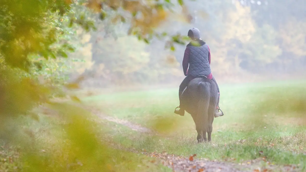 ILLUSTRATION - Eine junge Frau reitet am 27.10.2016 mit einem Pony durch ein Waldstueck bei Gross Groenau in Schleswig-Holstein. (gestellte Szene) Foto: Christin Klose | Verwendung weltweit